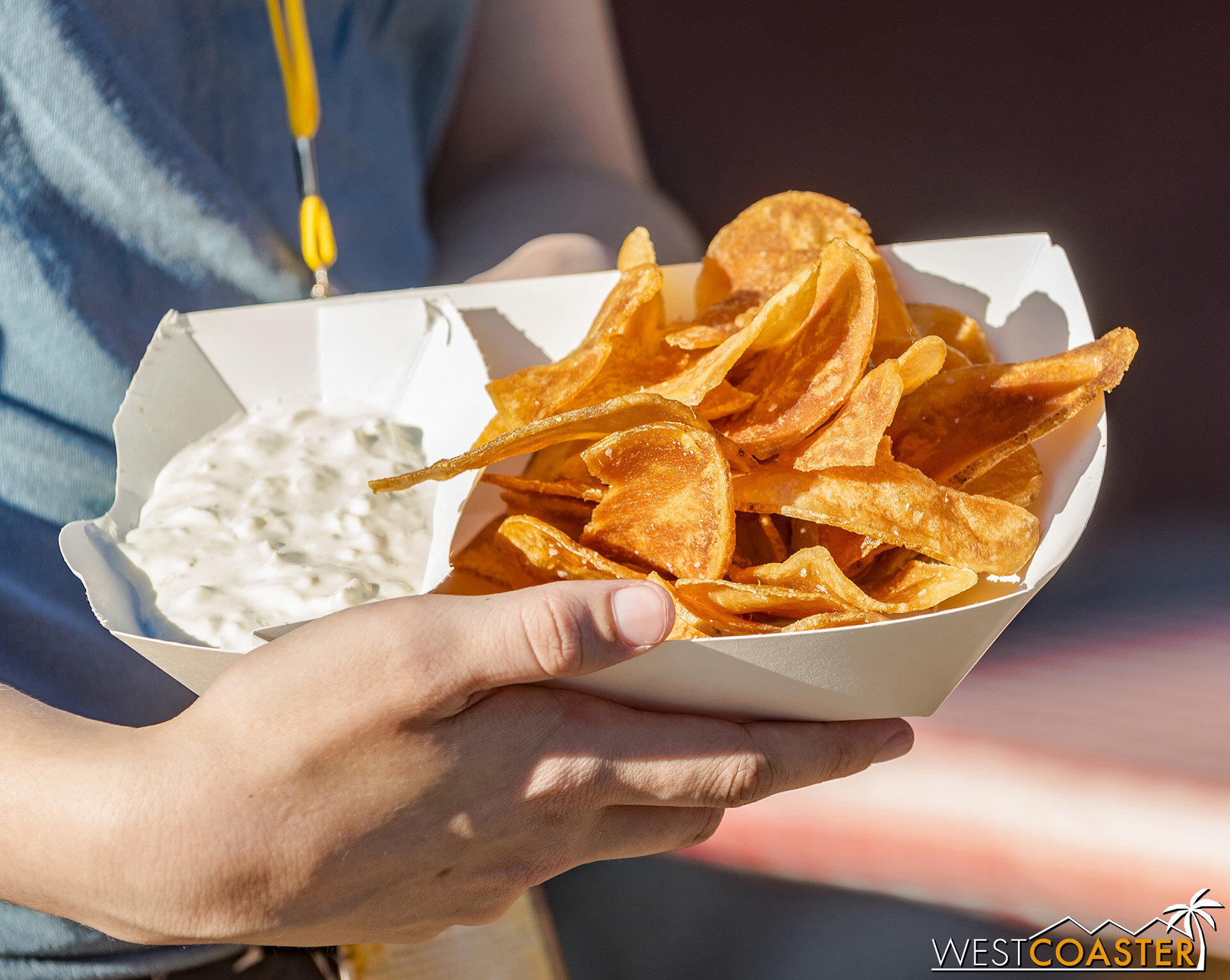  I didn’t try these, but I did see a lot of people getting the Deep Fried Potato Chips with an Onion Dip at Wilderness Broiler. 