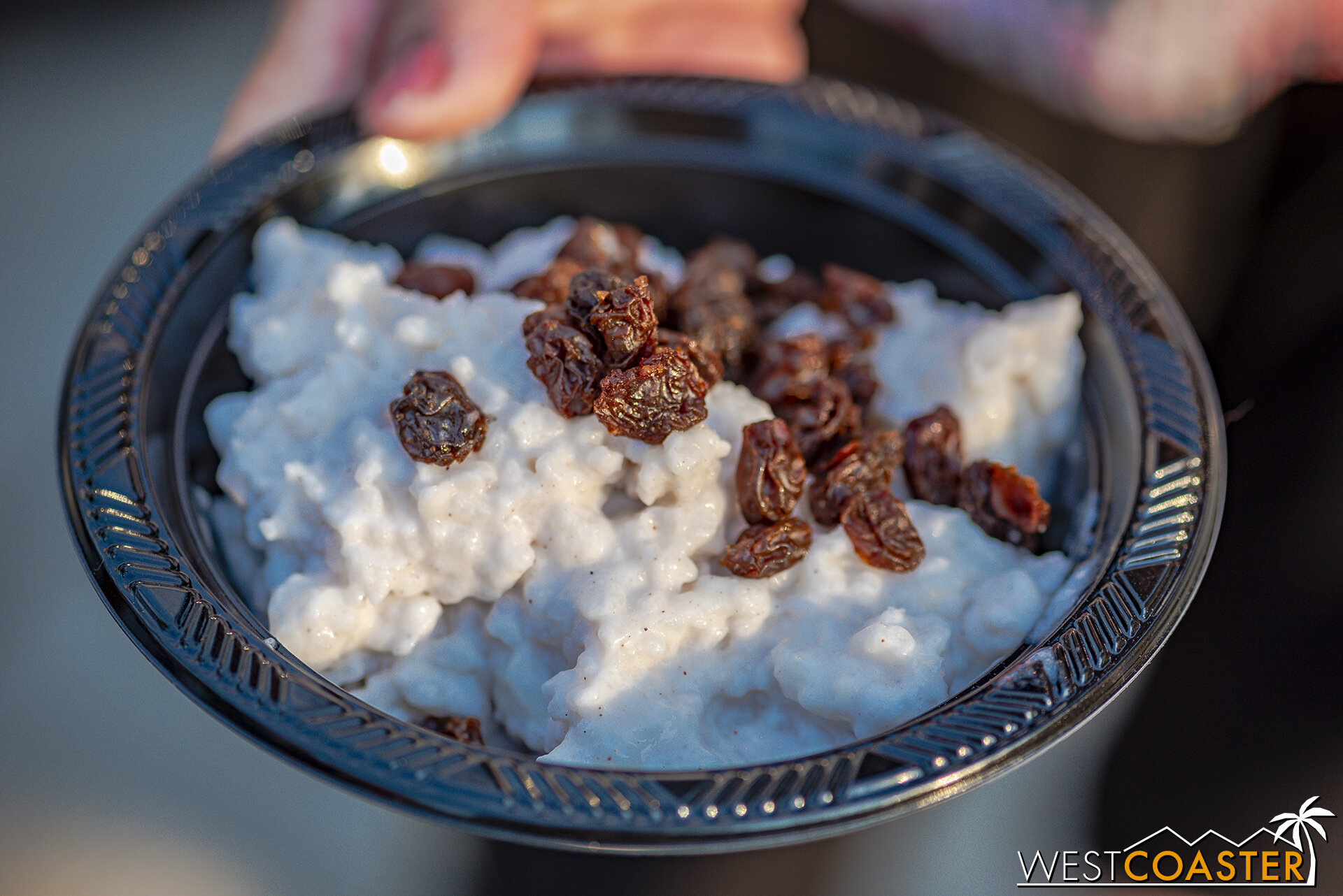  Arroz con Leche (Rice Pudding), from Fiesta Booth near Sol Spin. 