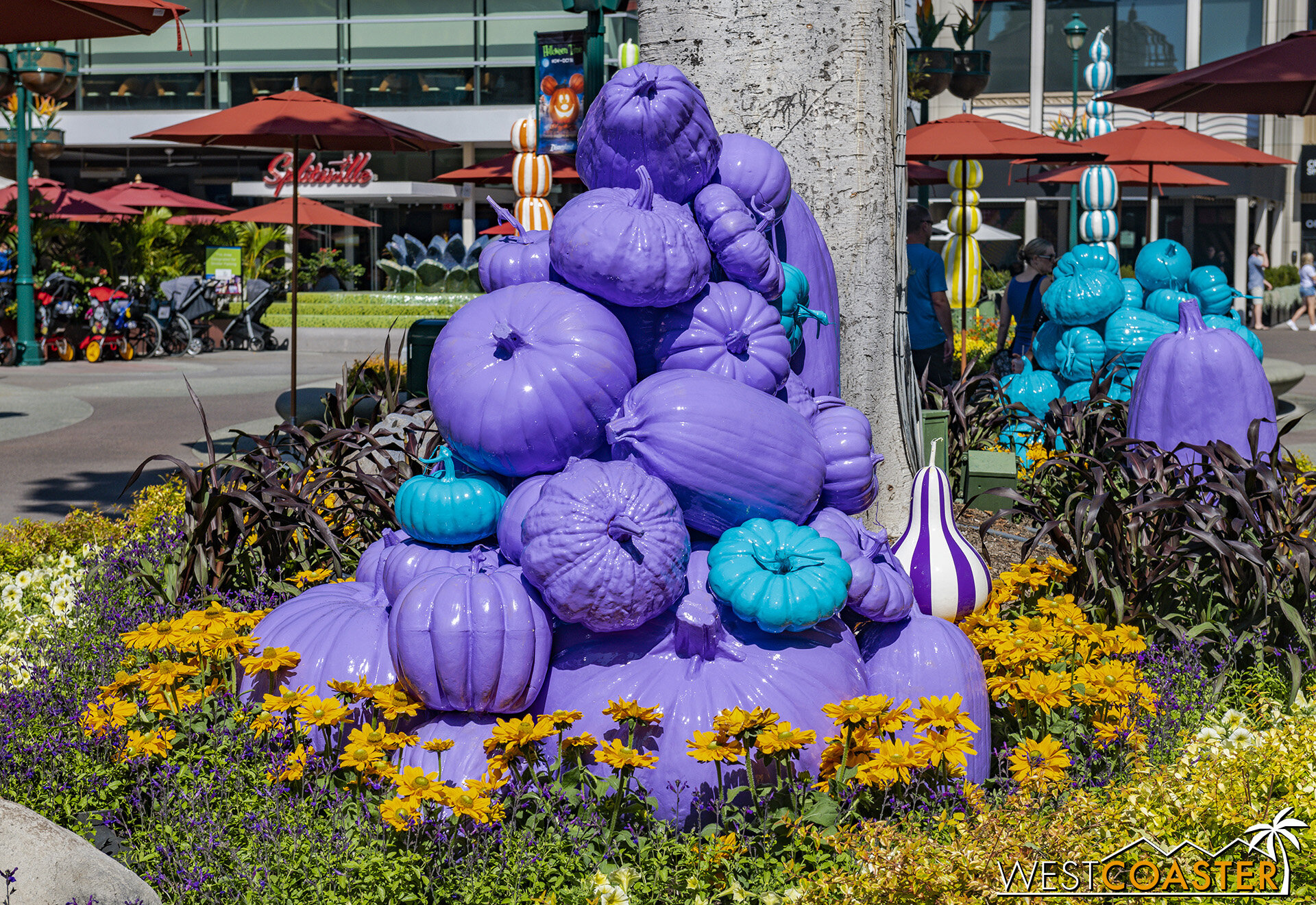  A variety of colorful pumpkins has appeared at Downtown Disney. 