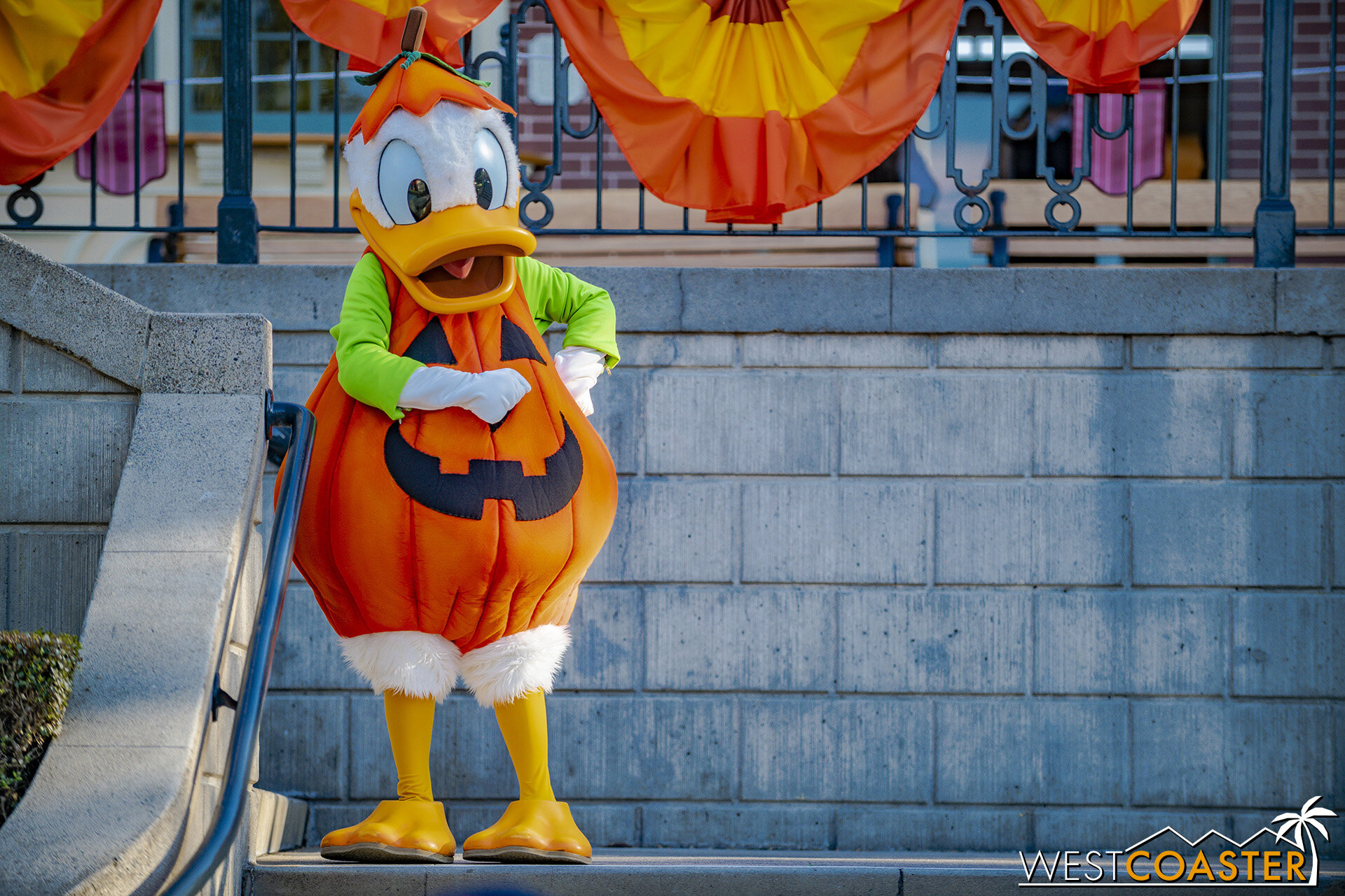  The spacing and elevated position of the characters allows guests to get their picture at street level with the characters in the frame, or to get photos of the characters only. 