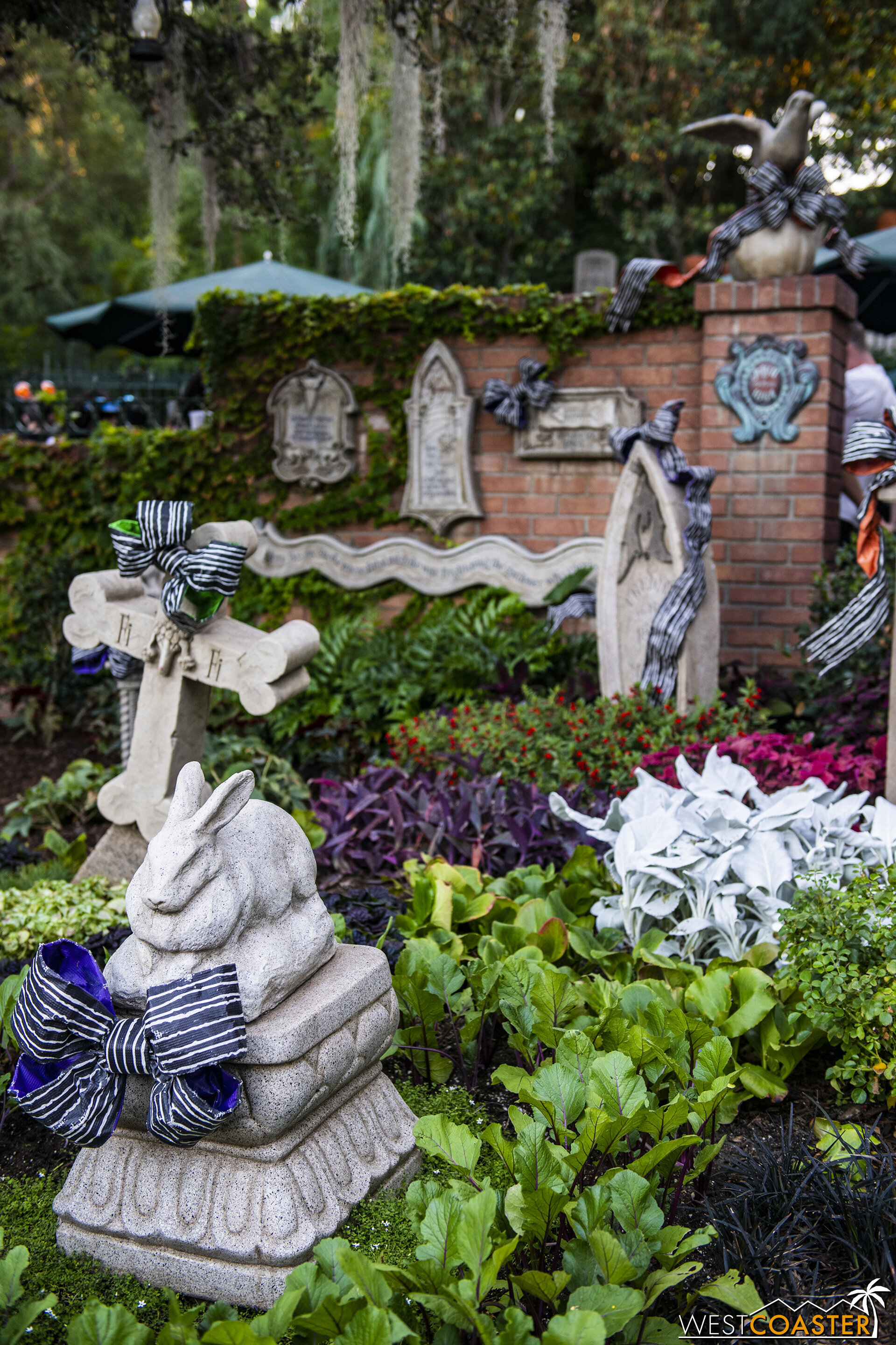  From the   Disneyland TikTok  :  At the Haunted Mansion where magic is found, don’t look far, just look to the ground Near the tombs of the departed pets, are the plants that relate to their novelettes. Society garlic surrounds Stripey the skunk, wh