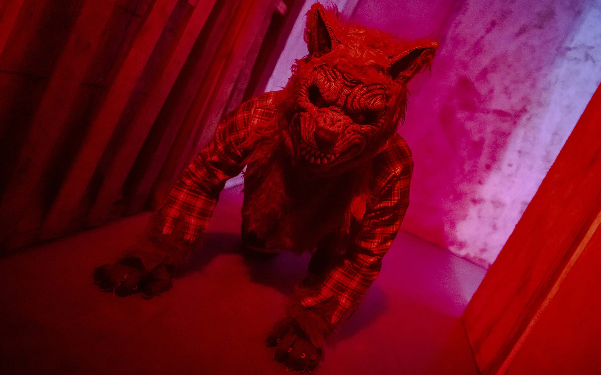 Haunt of Halloween 2021 Review — Restcoaster