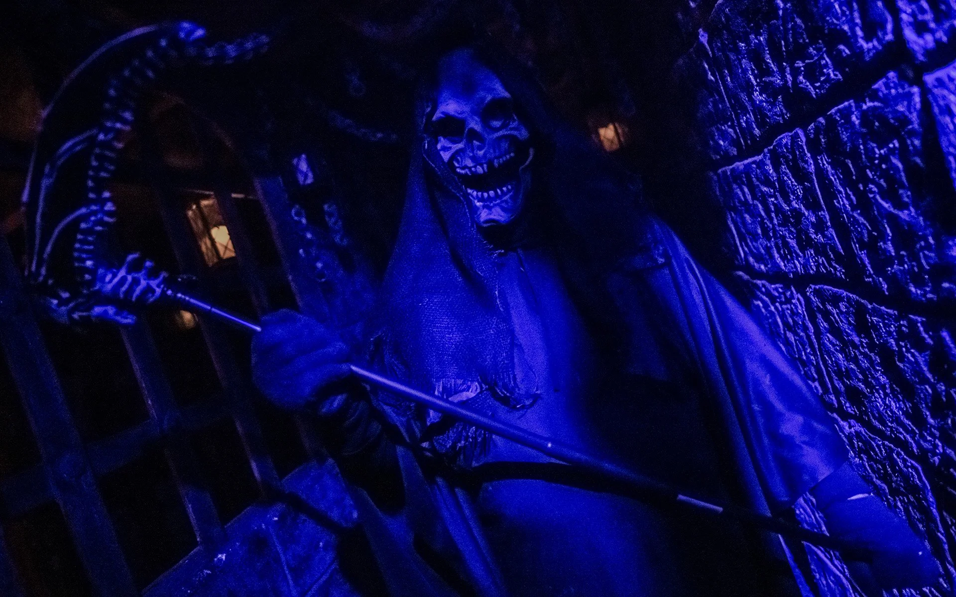 Beware the Dark Realm: 2021 Review — Restcoaster