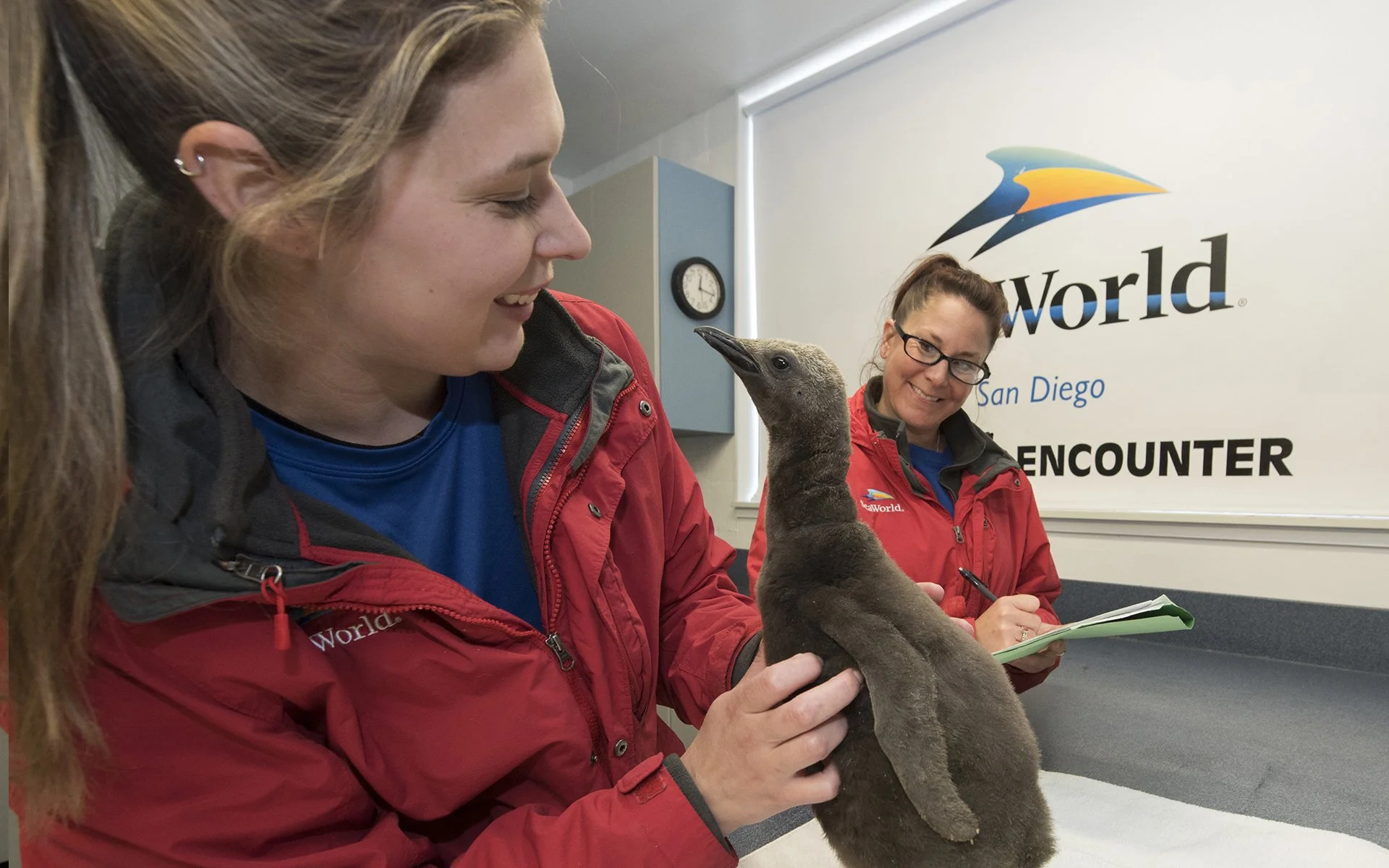 San Diego Seaworld Rescue Team
