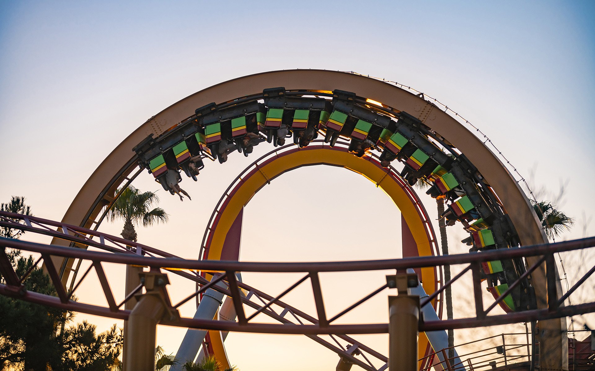 Restore the Shore Rollercoaster Halloween Costume