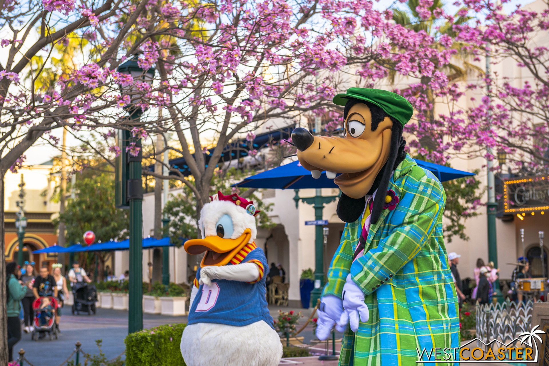  The Tabebuias are in bloom around Carthay Circle, and Donald and Goofy seem to enjoy them. 