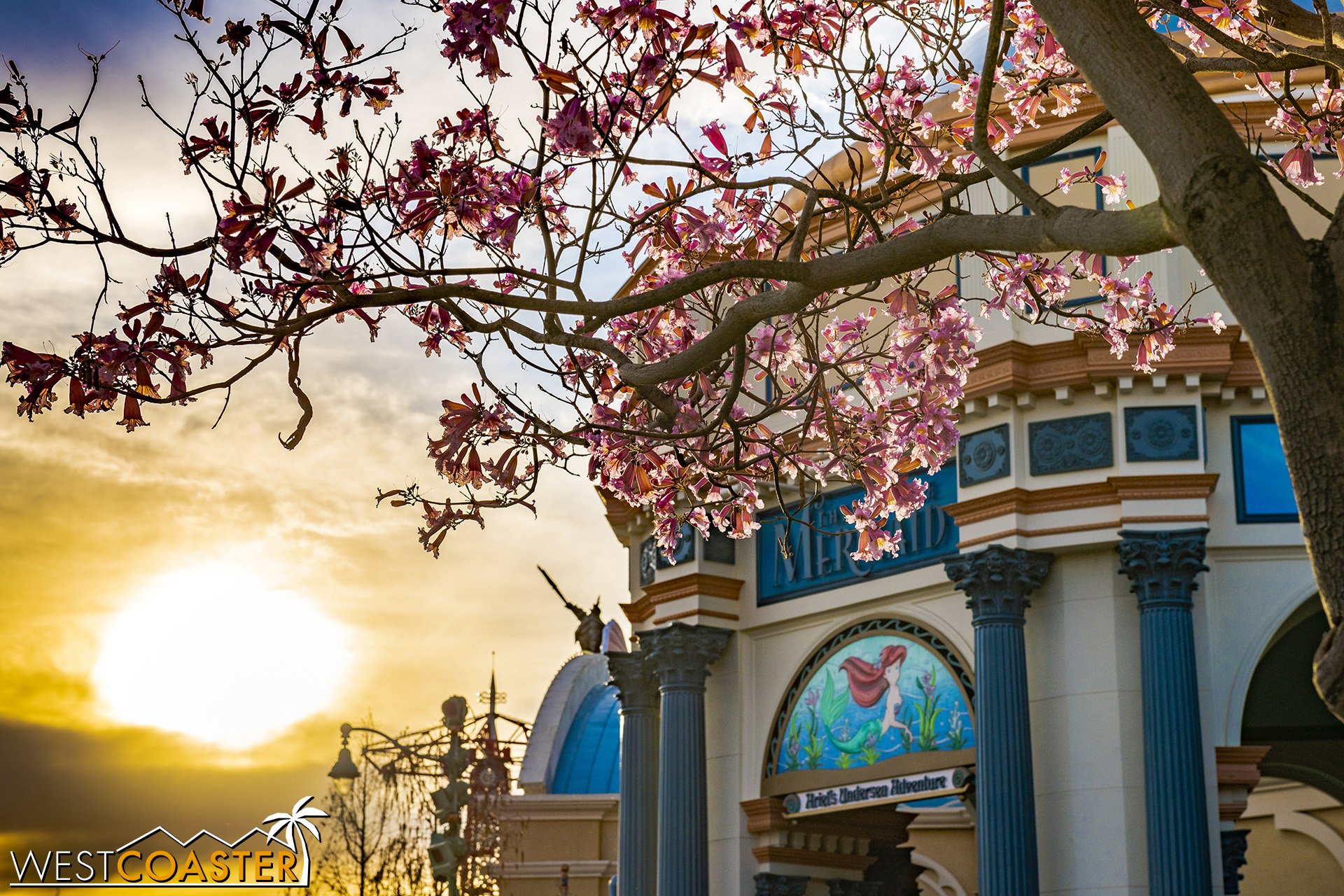  Looking toward the sunset. 