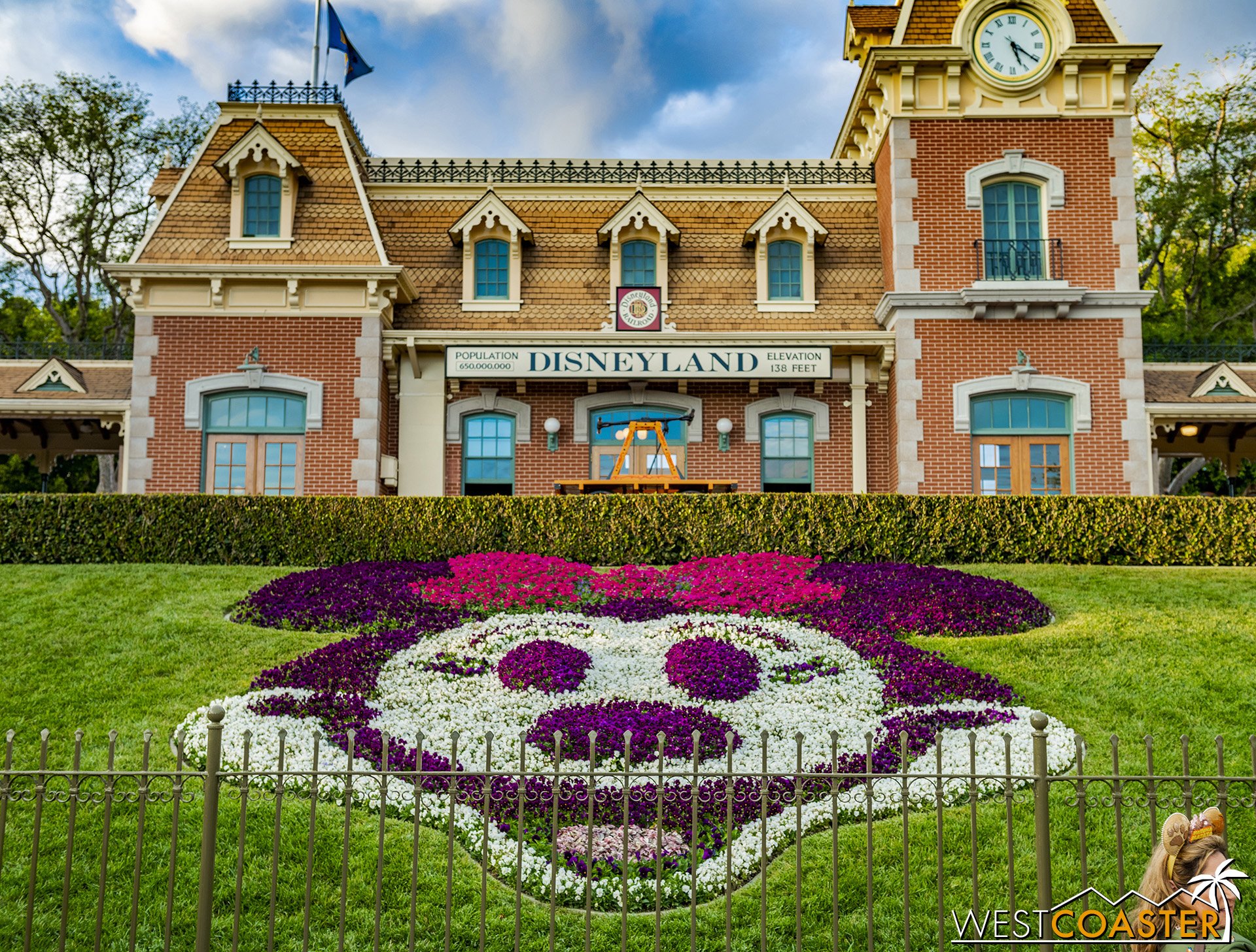  The flowers were changed to Minnie Mouse. 