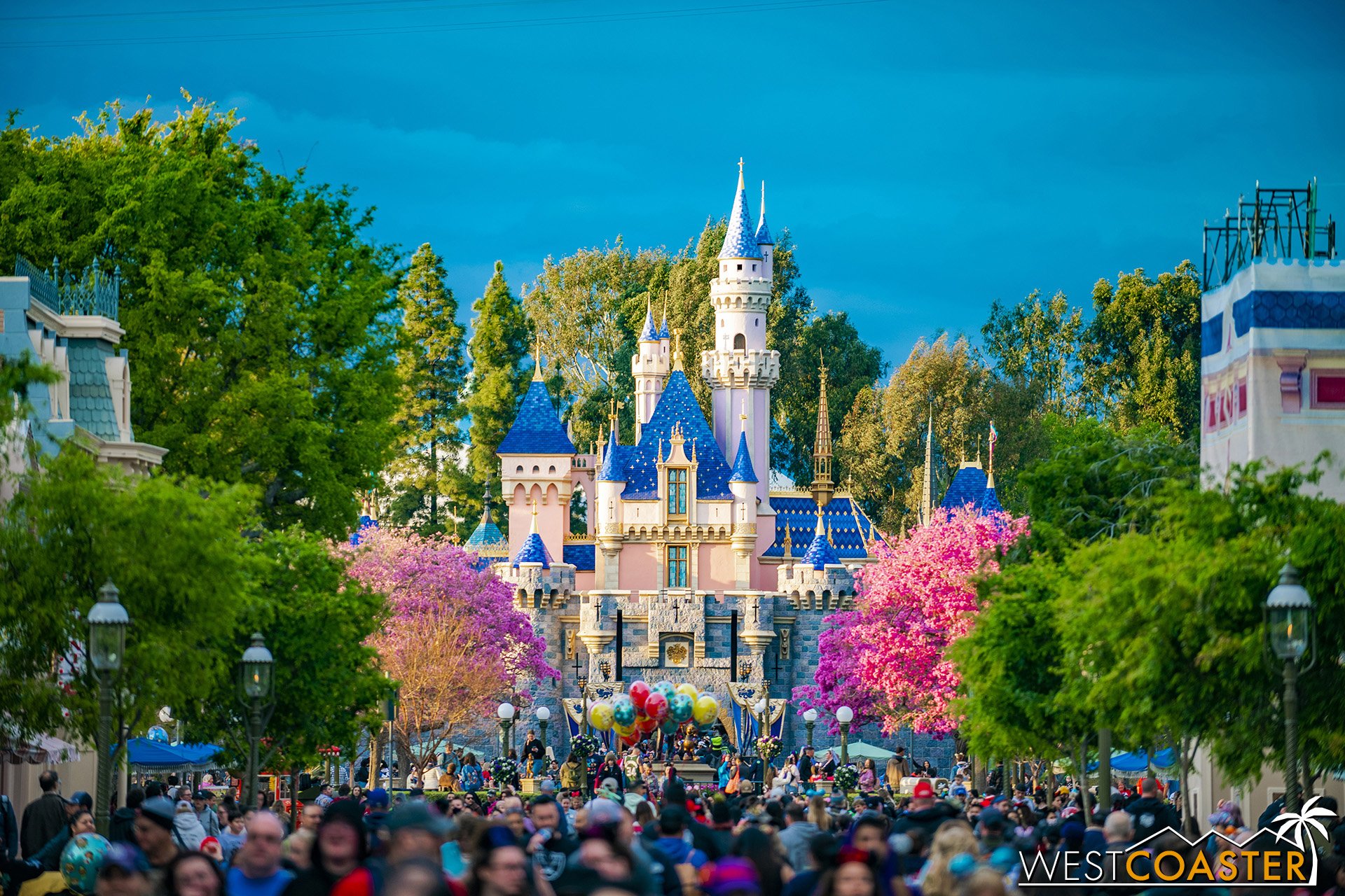  Full springtime blooms at Disneyland lasted a good month this year! 