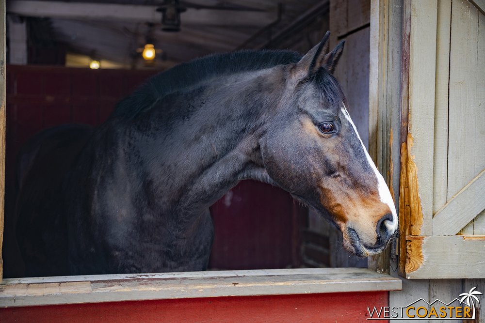 KBF-23_0315-F-OldMacDonaldsFarm-0001.jpg