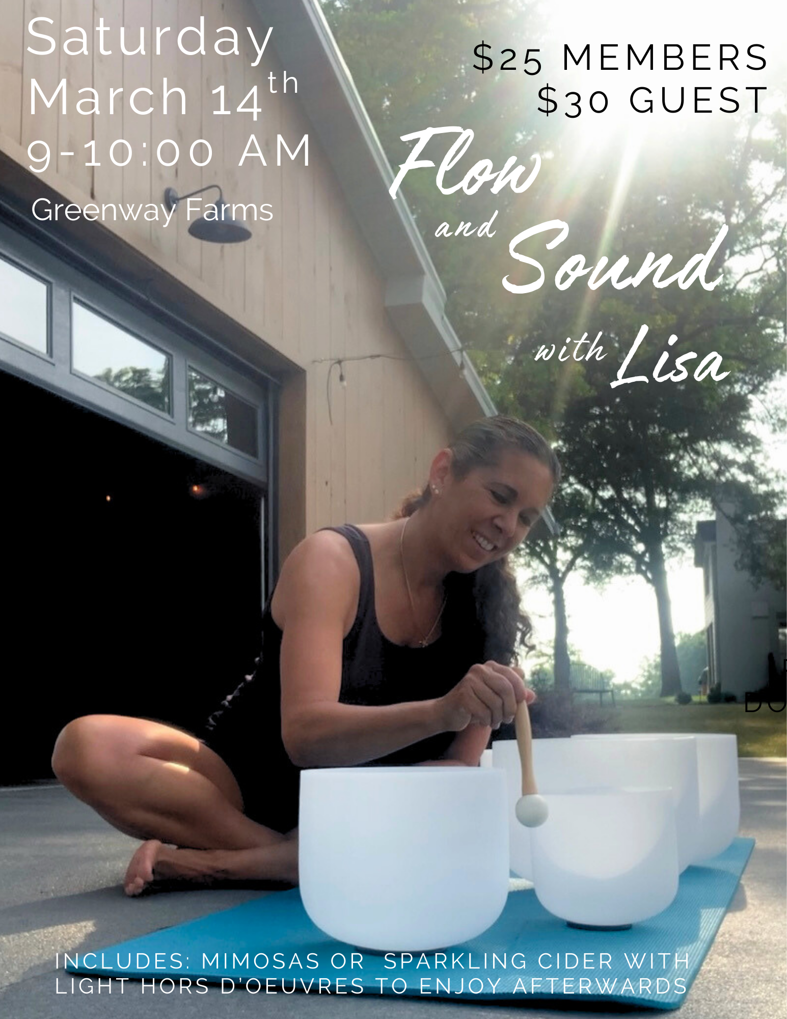 Flow and Sound with Lisa  for MC   (8.5 × 11 in).png
