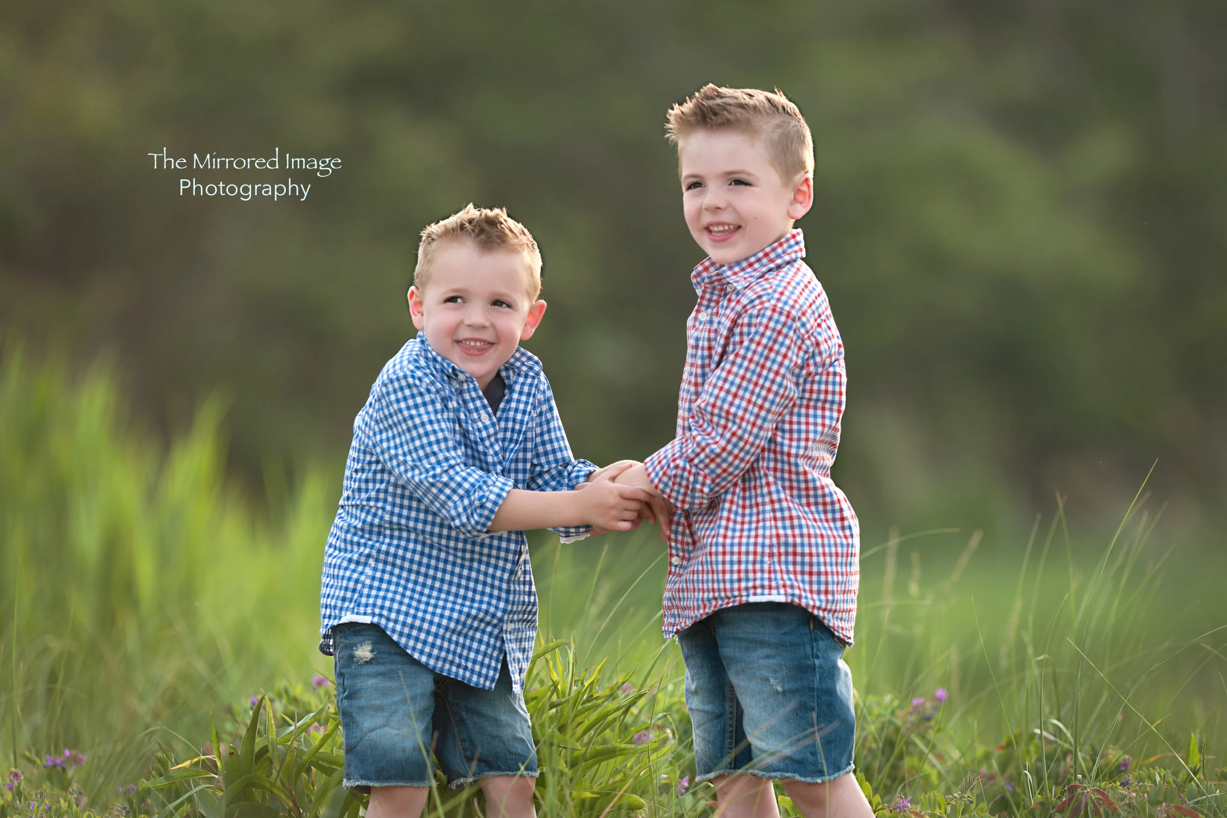 An Evening of Family Photos