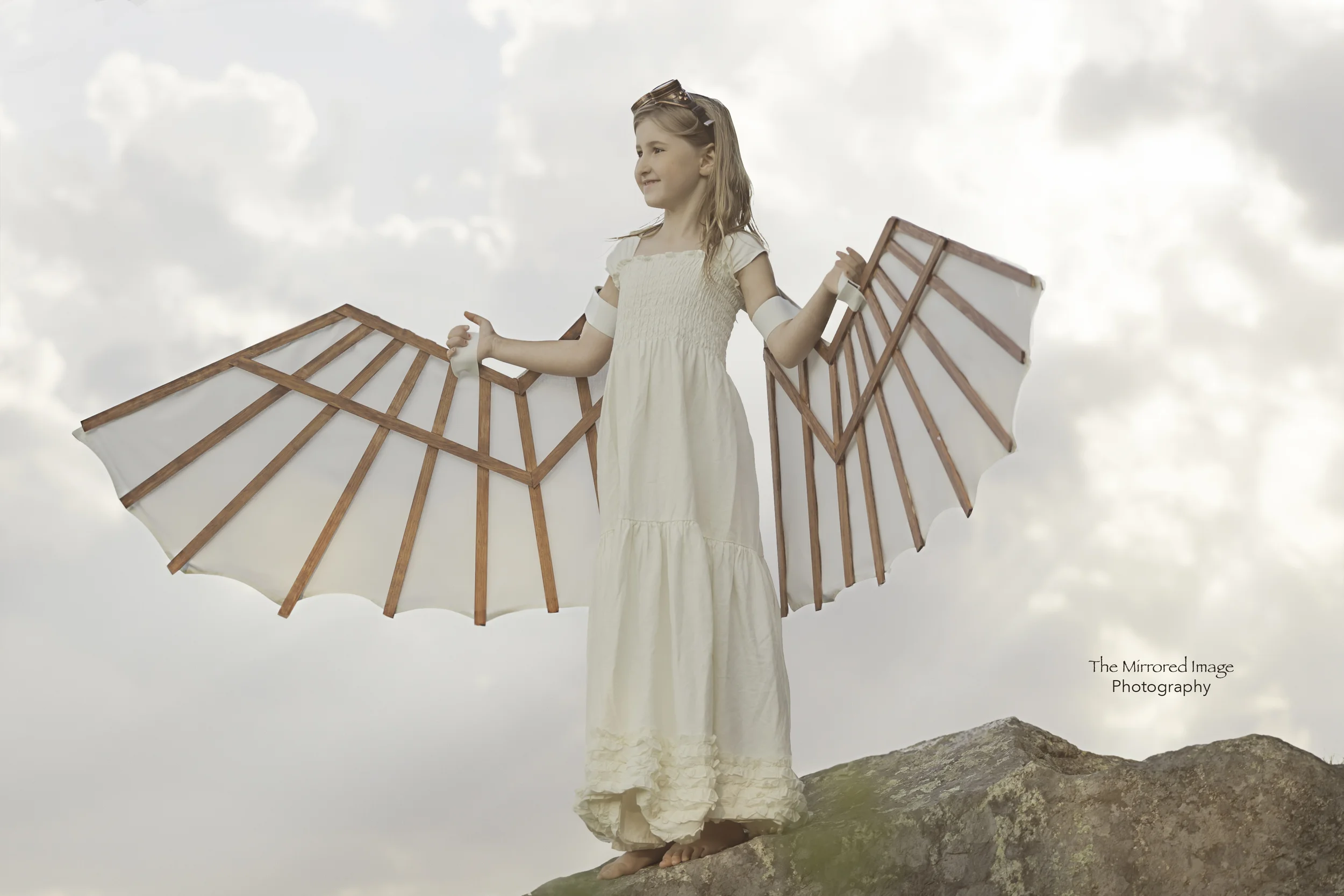 Dreaming of Flight...