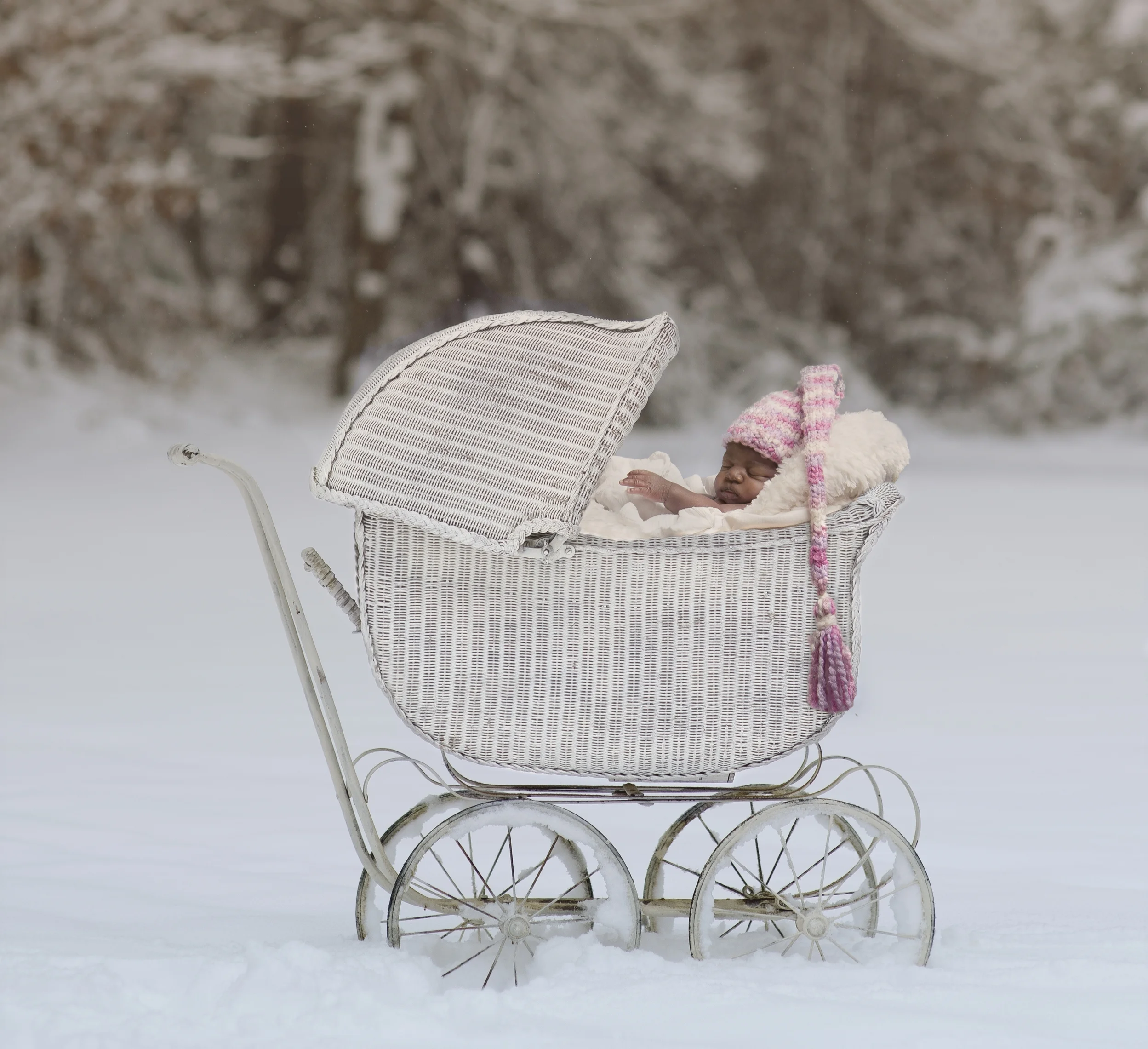 Antique Carriage Newborn Photo