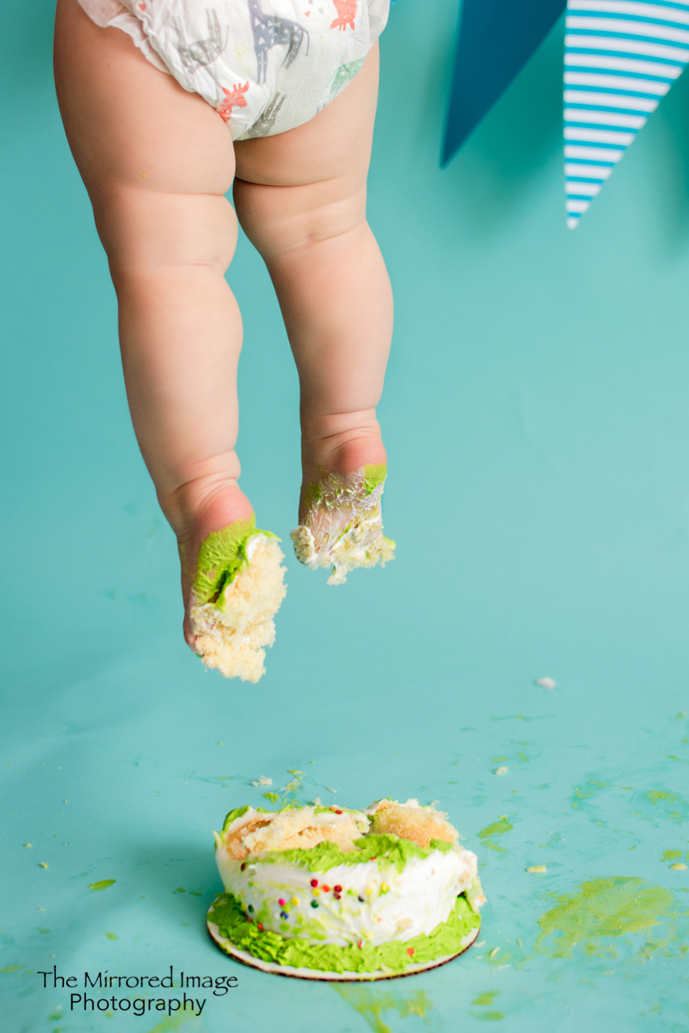 First Birthday Cake Smash