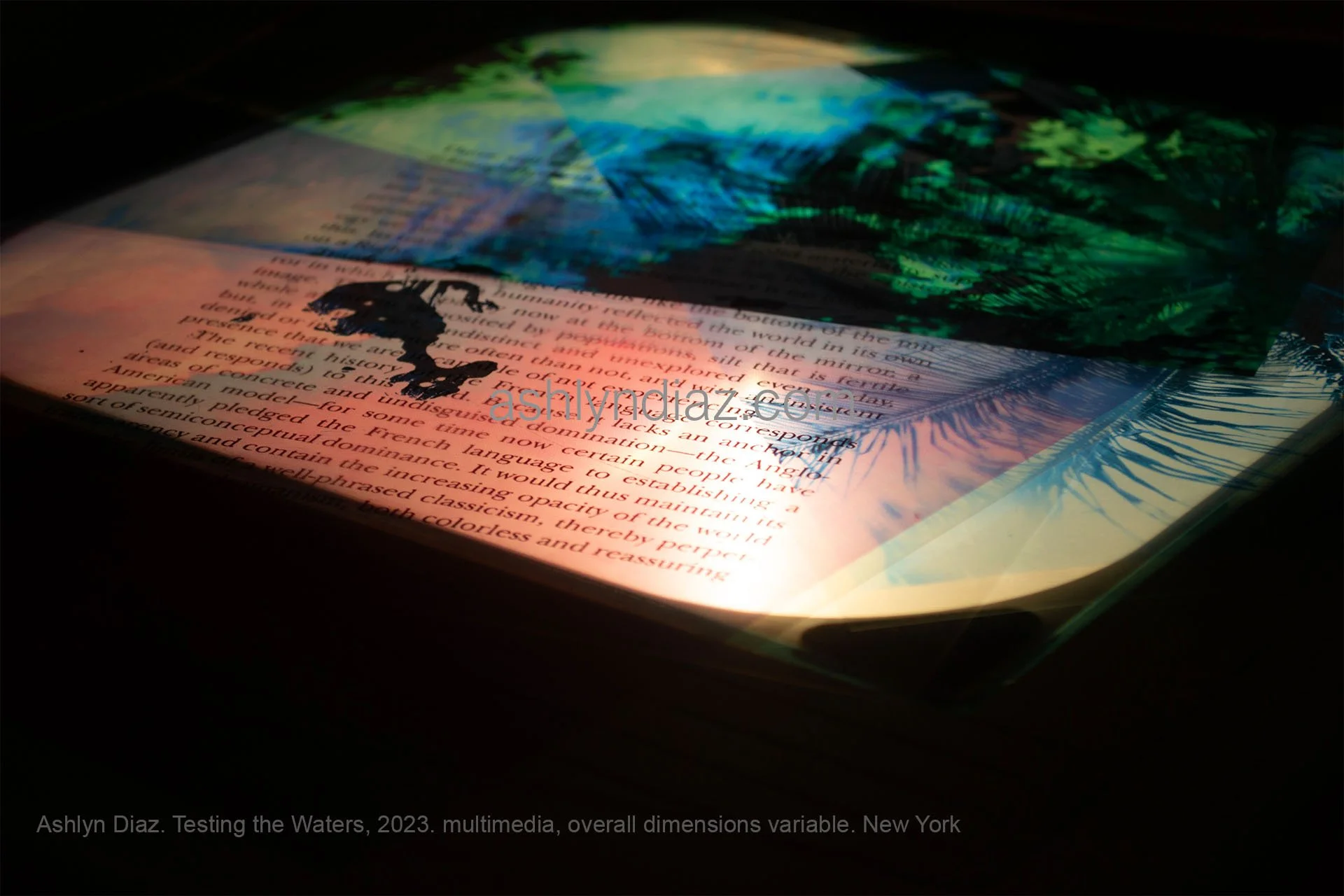Ashlyn Diaz. Testing the Waters, 2023. multimedia, overall dimensions variable. New York