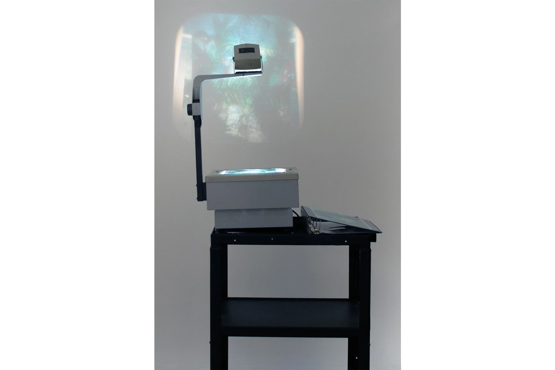 Testing the Waters_Estuary (2023).jpg