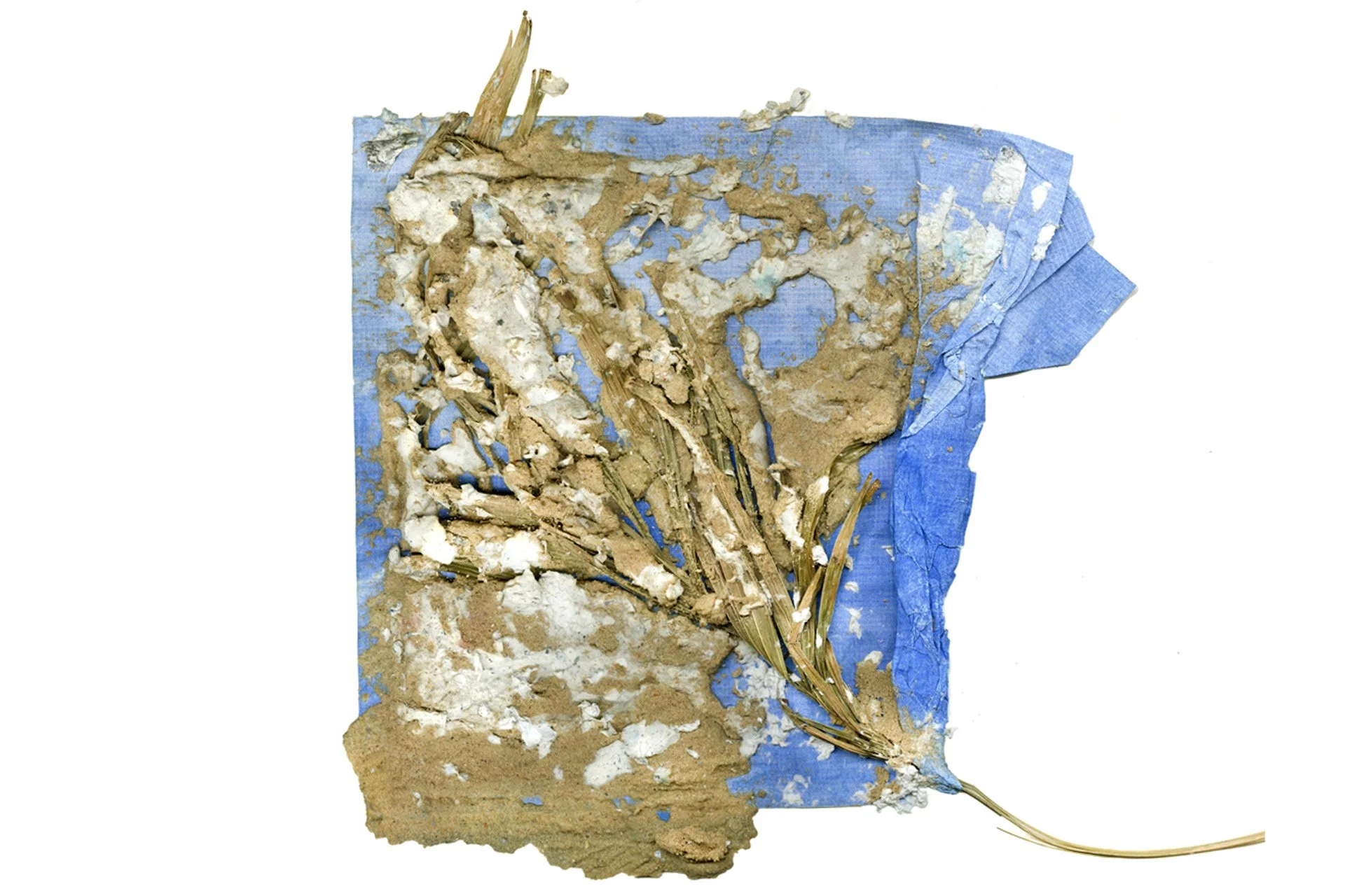 Troubled Water_Estuary (2023)_Ashlyn Diaz.jpg