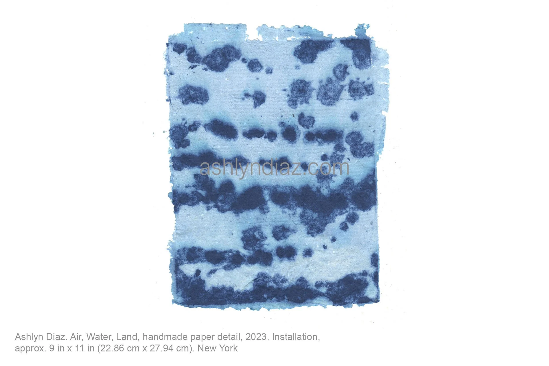 Ashlyn Diaz. Air, Water, Land, handmade paper detail, 2023. Installation, approx. 9 in x 11 in (22.86 cm x 27.94 cm). New York
