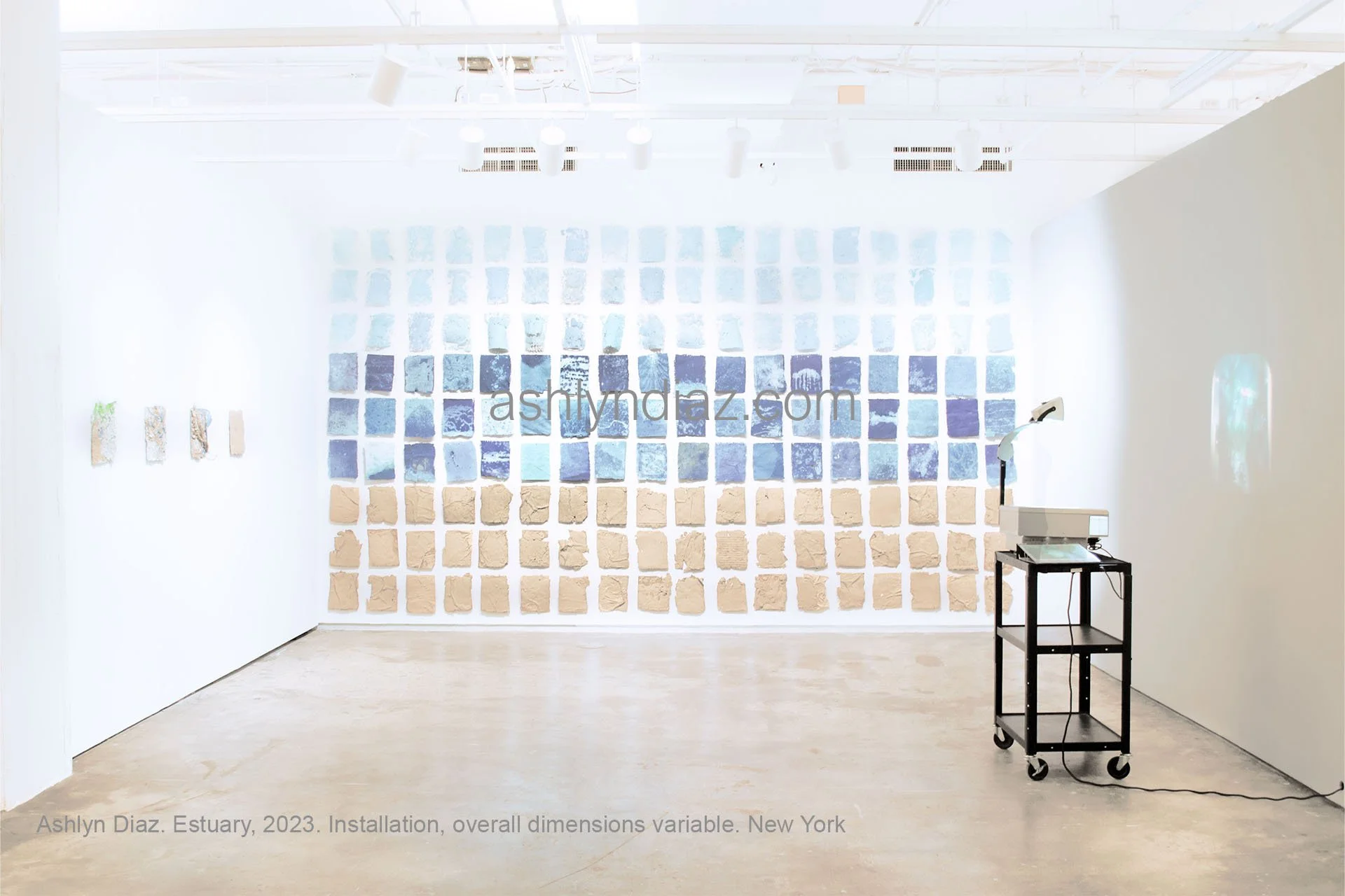 Ashlyn Diaz. Estuary, 2023. Installation, overall dimensions variable. New York