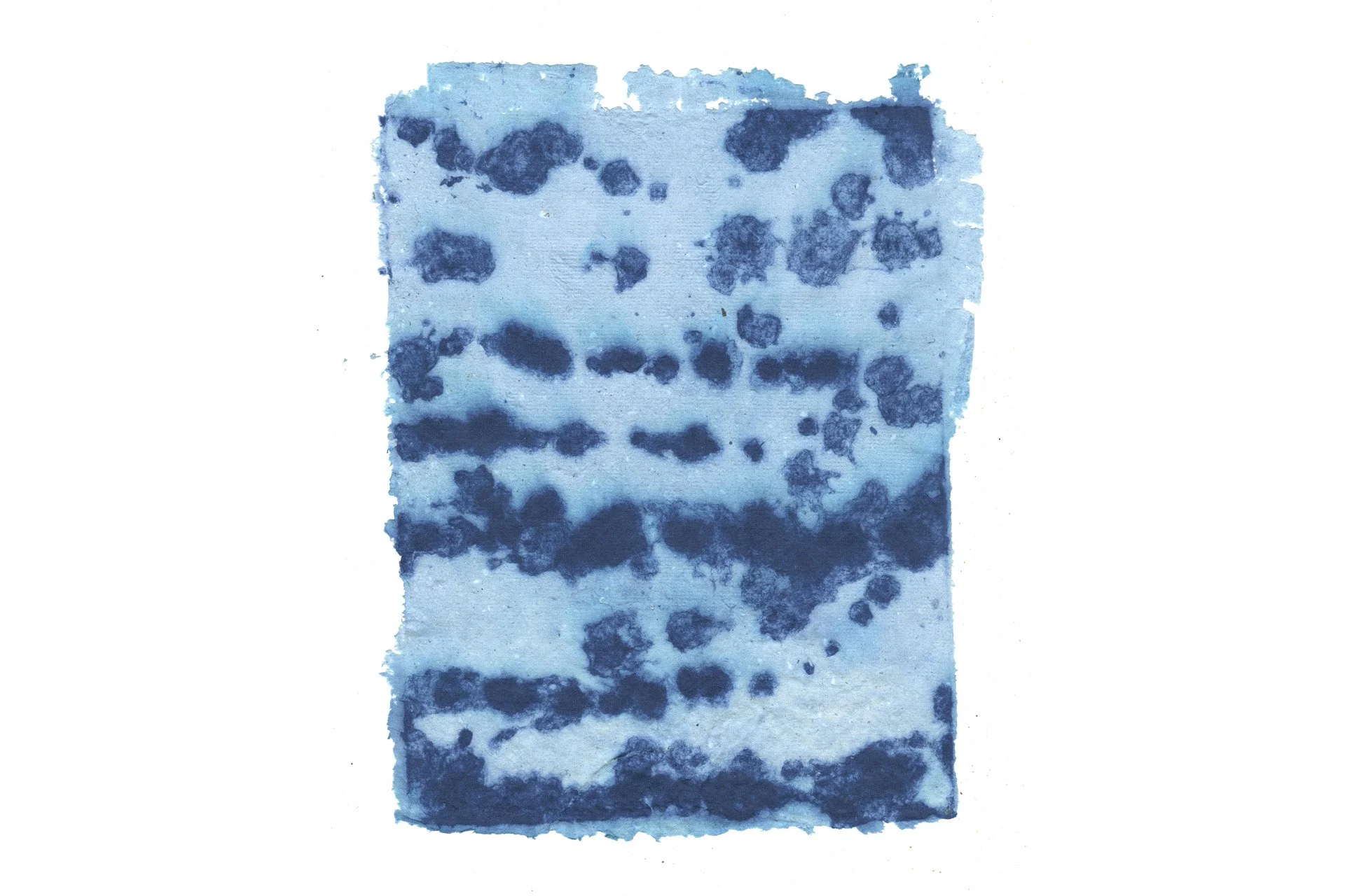 Handmade Paper_Air, Water, Land_Estuary (2023)_Ashlyn Diaz.jpg
