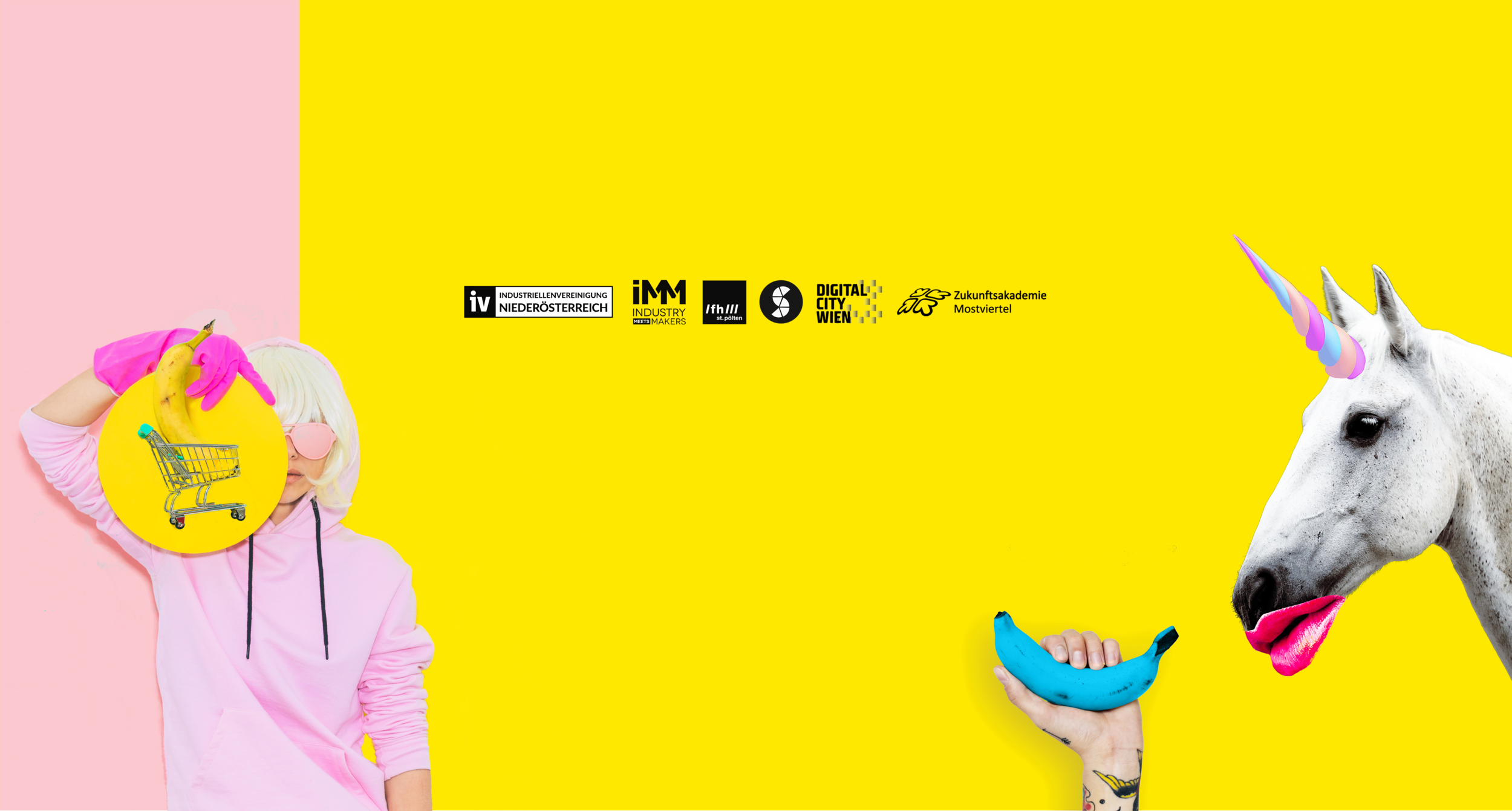 IMM_FTBS_website.png
