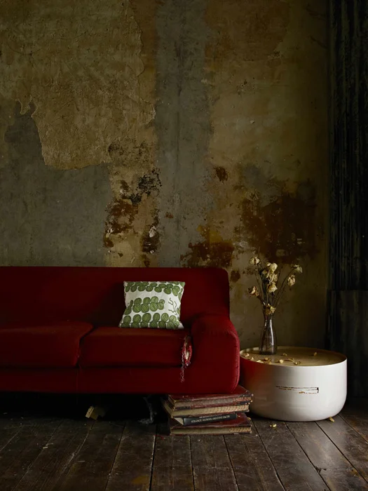 Flavini / photographer: Beth Evans
