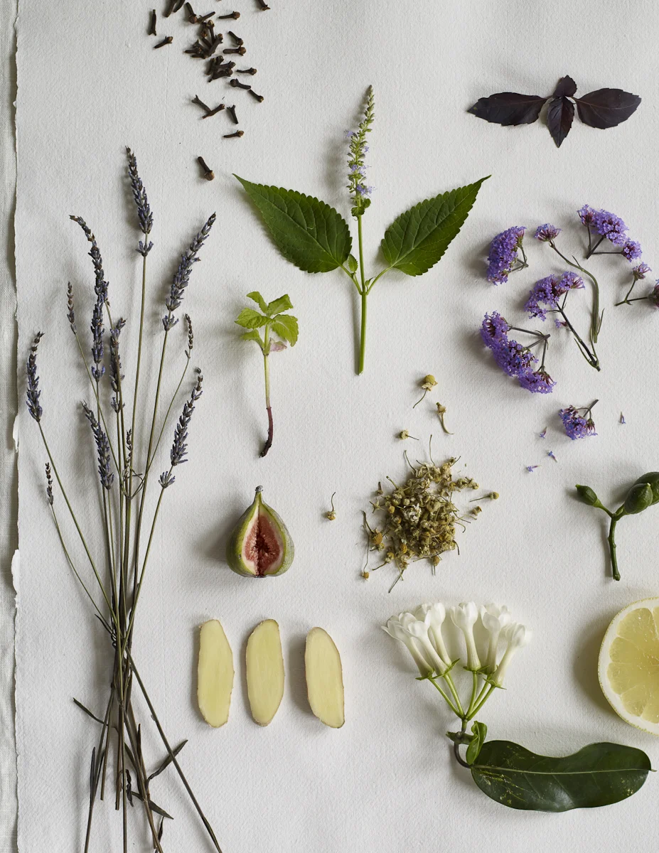 M&S / photographer: Katya De Grunwald
