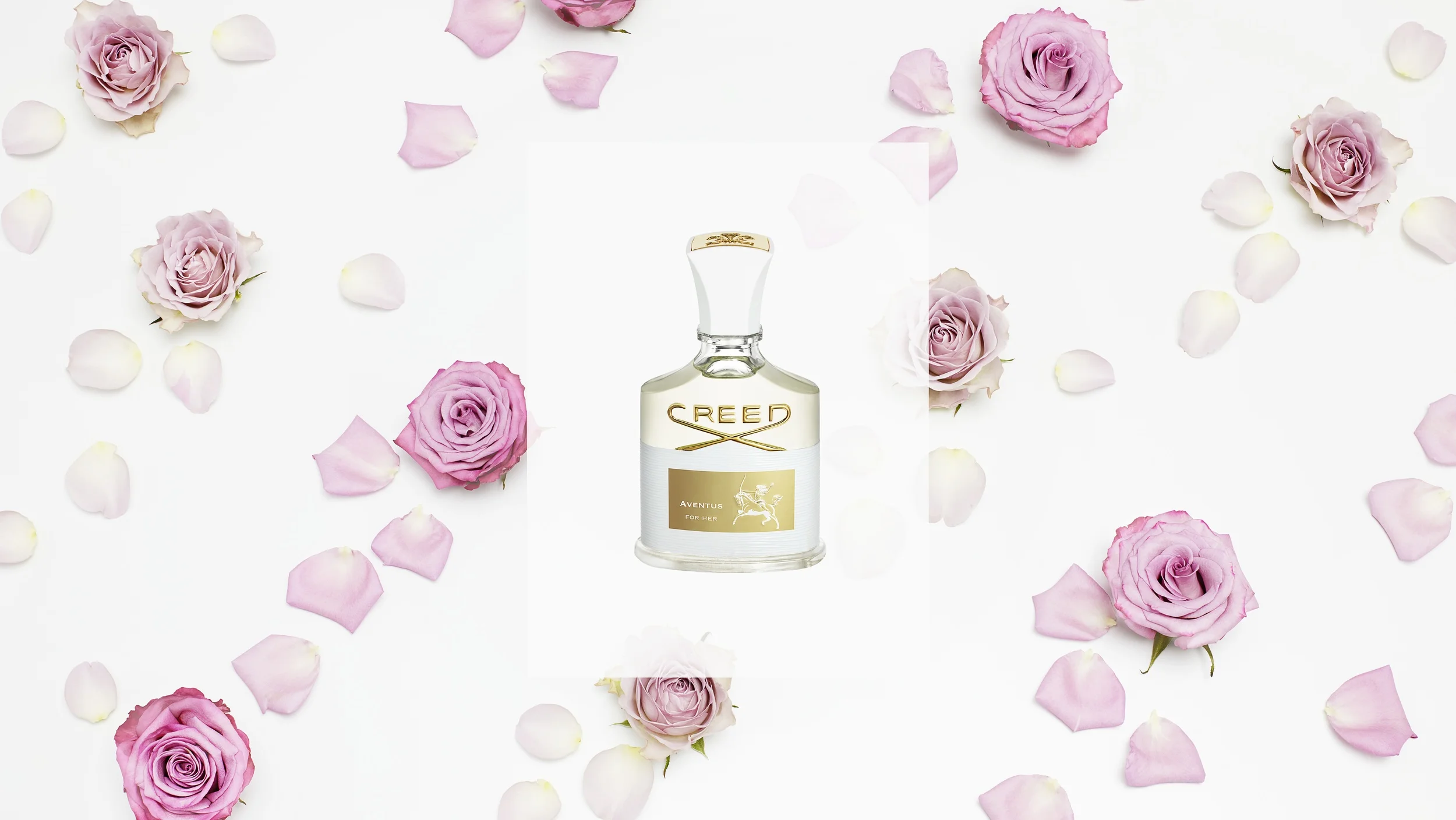 Vogue x Creed  /  PHOTOGRAPHER: BEATE SONNENBERG