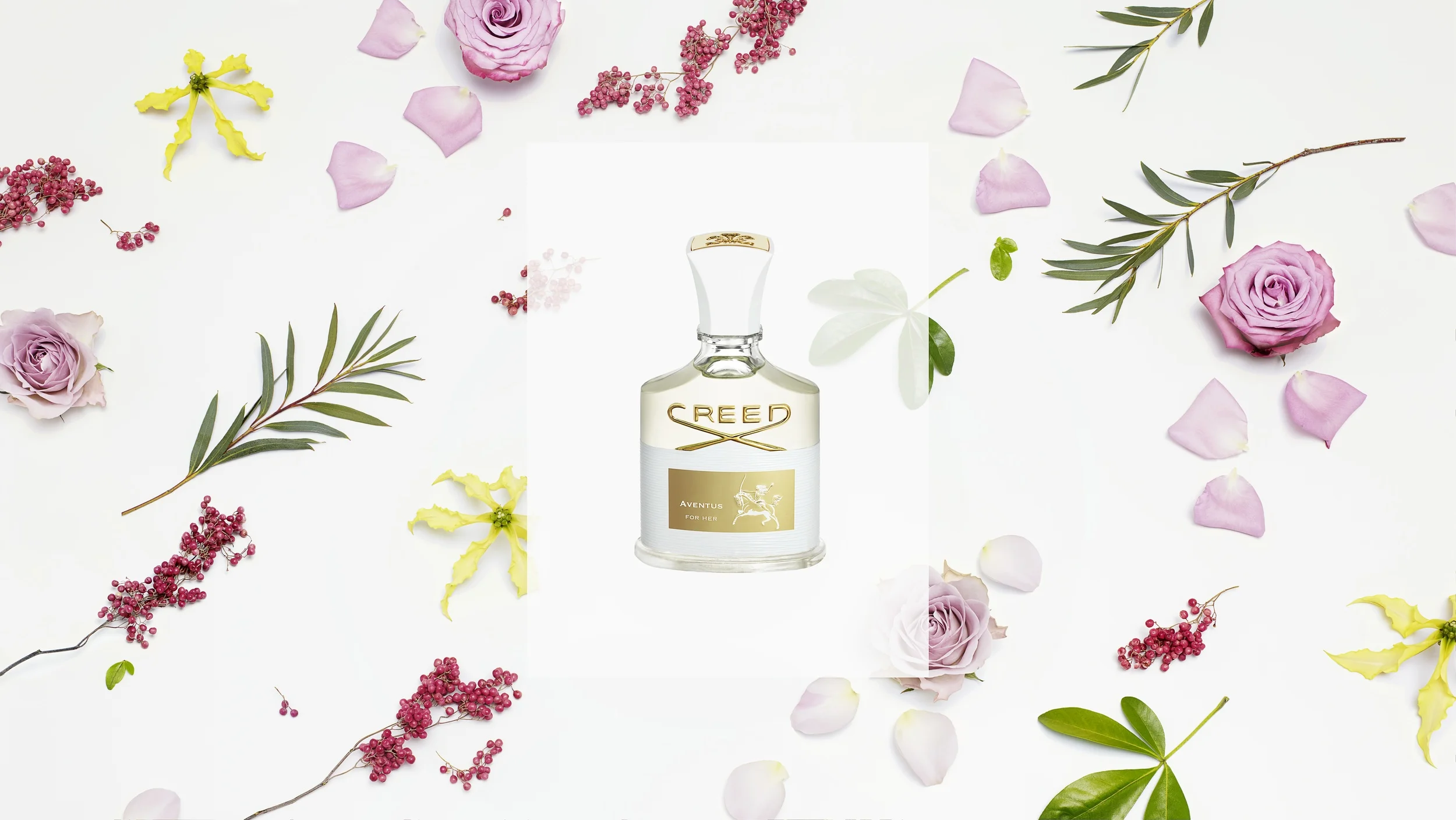 Vogue x Creed  /  PHOTOGRAPHER: BEATE SONNENBERG