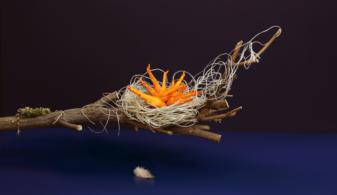 Habour & Jones / photographer: Angela Moore