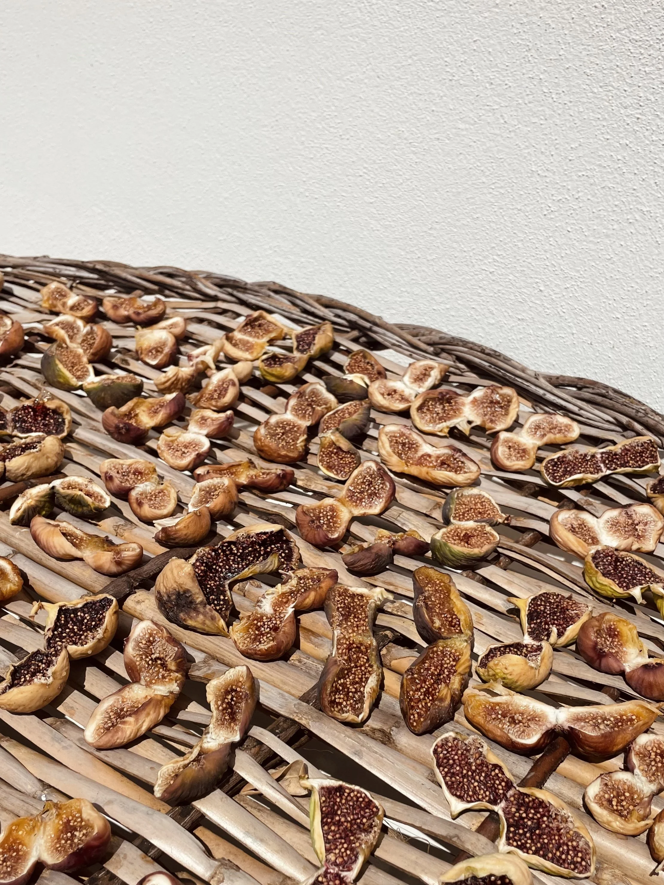 Rebecca McEvoy_Photography_Maison Cinque_image00005.jpeg