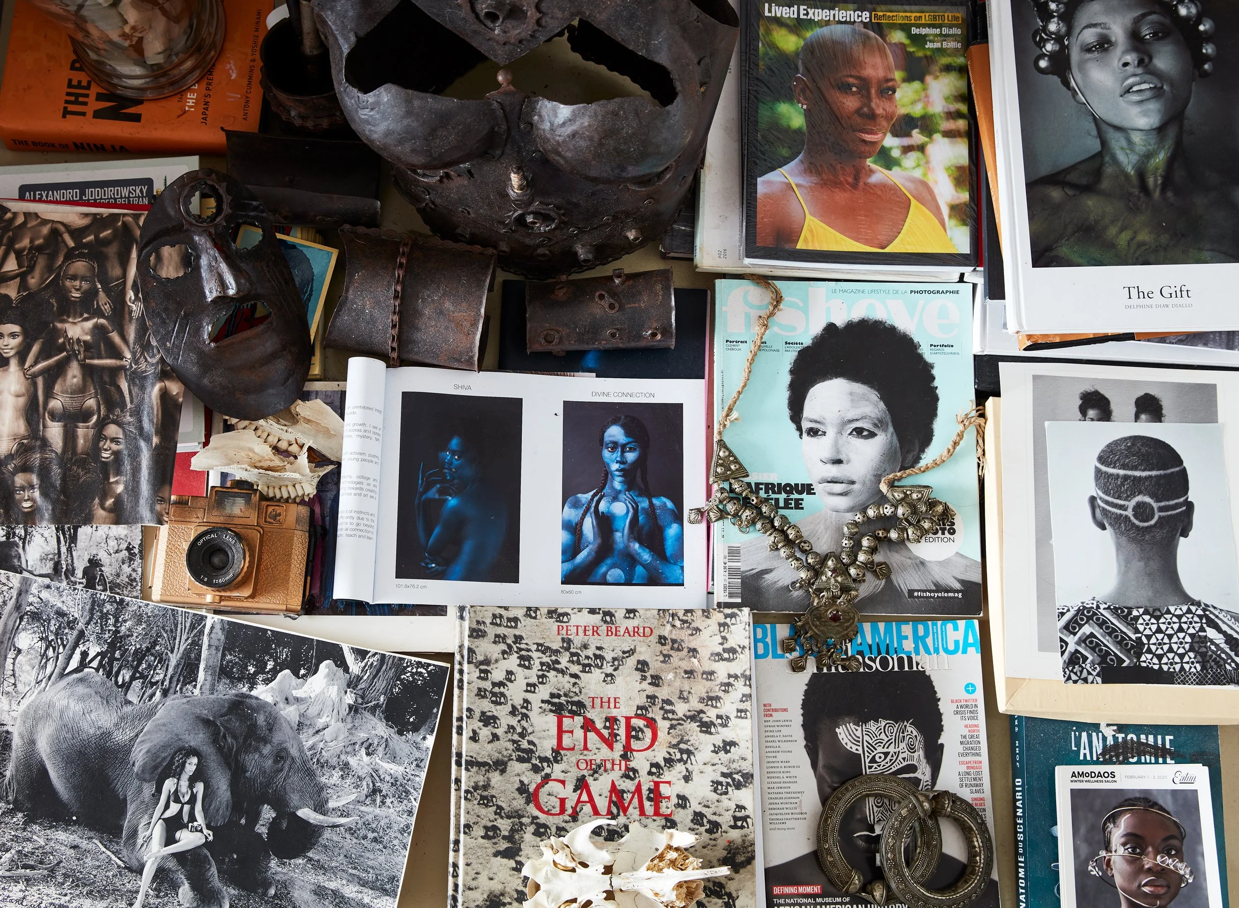 david-land_moyi-magazine_delphine-diallo_20200923.001.jpg