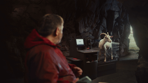 gif.gif
