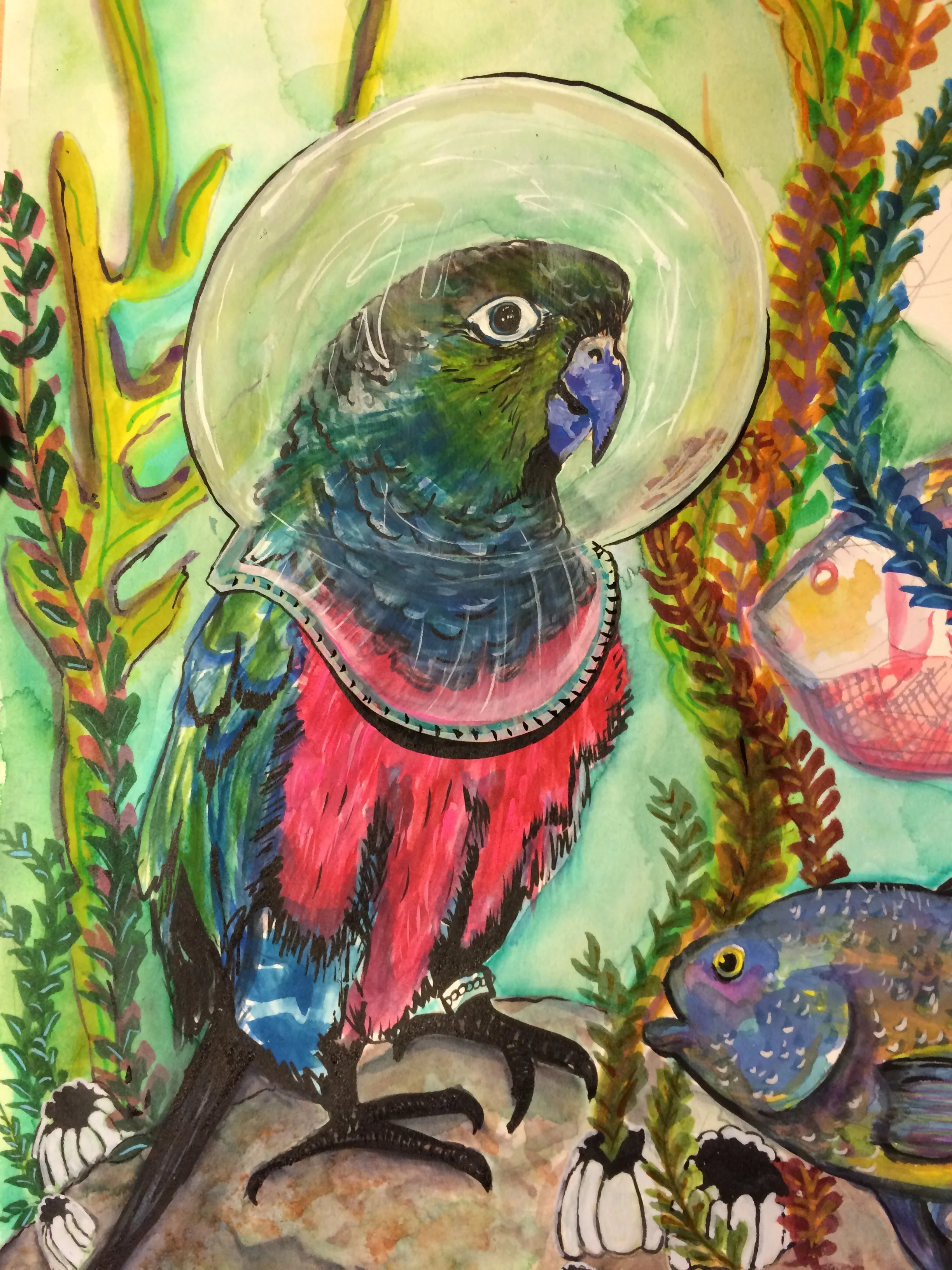 The Conure Cooking Companion