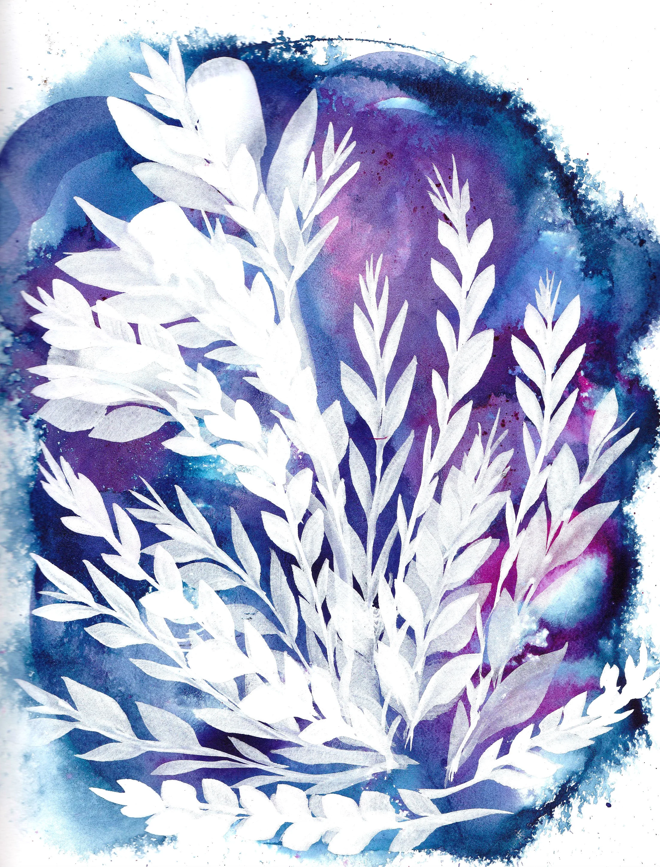 whiteflora.jpg