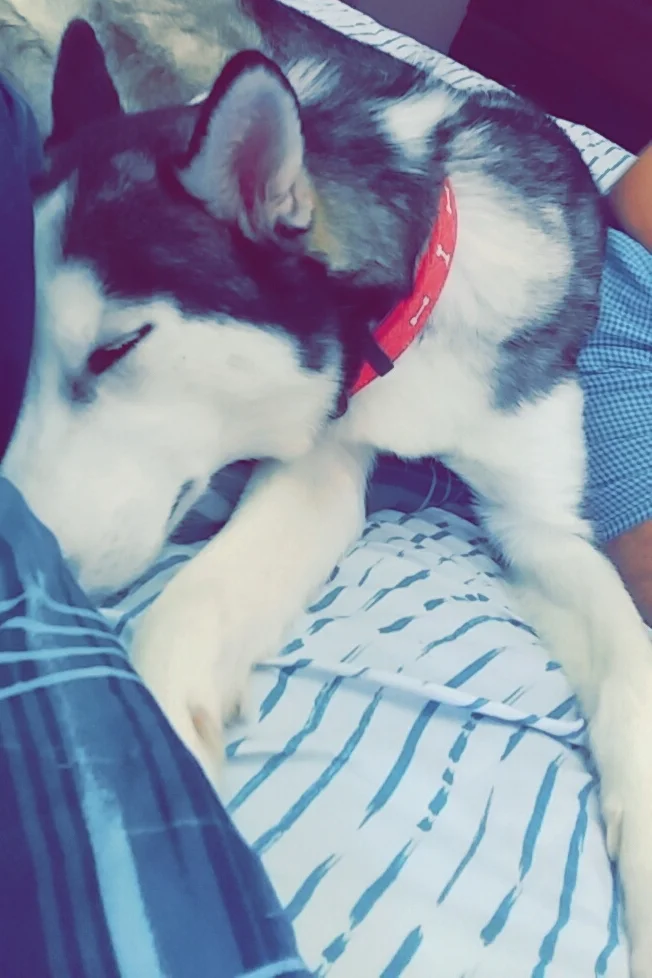 NOVA