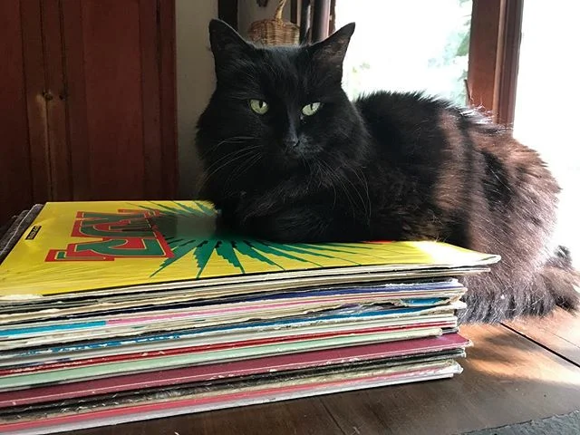 Lily's gonna join us this weekend! warm things up 🔥🔥 let's go west coast!! @audiosf @bangbangsd