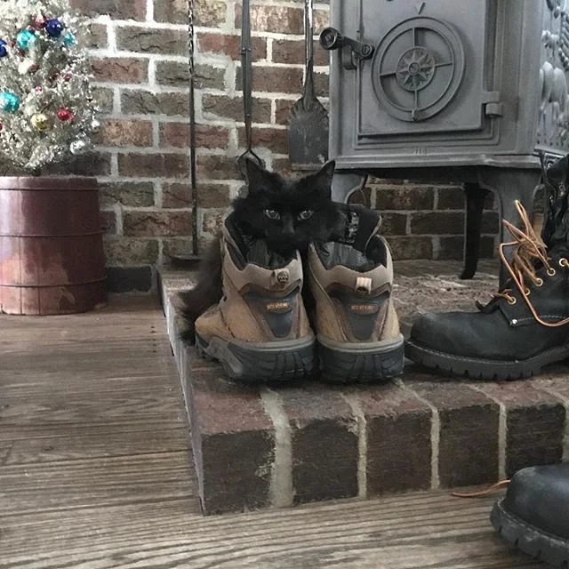 she doesn&rsquo;t want me to go