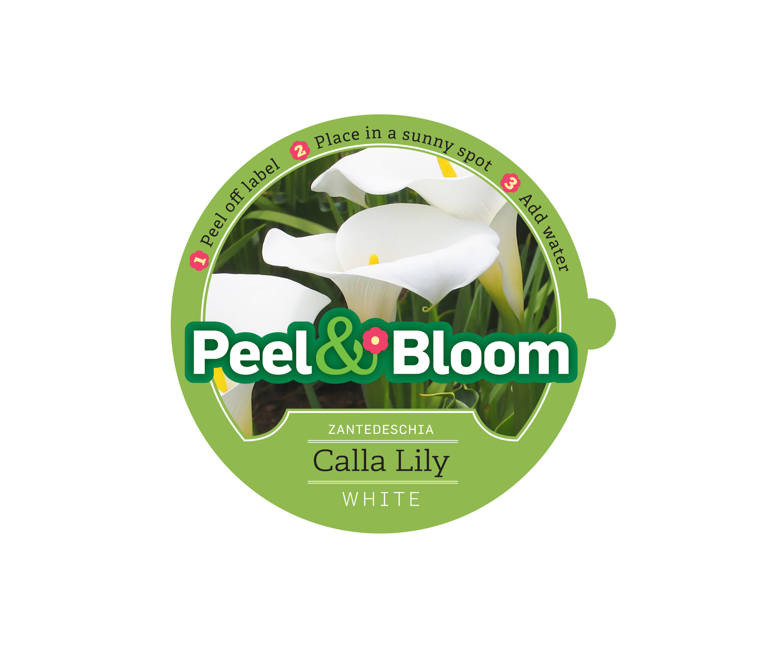 Peel & Bloom label.jpg