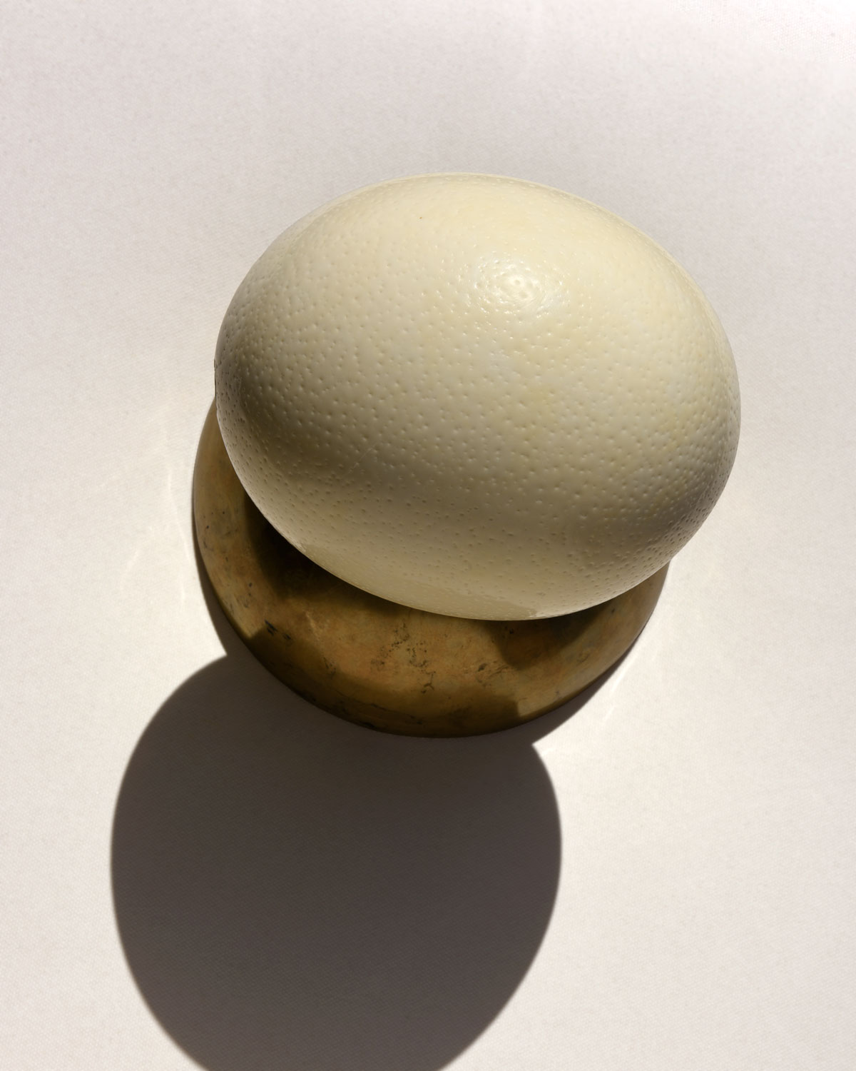Ostrich Egg and Singing Bowl