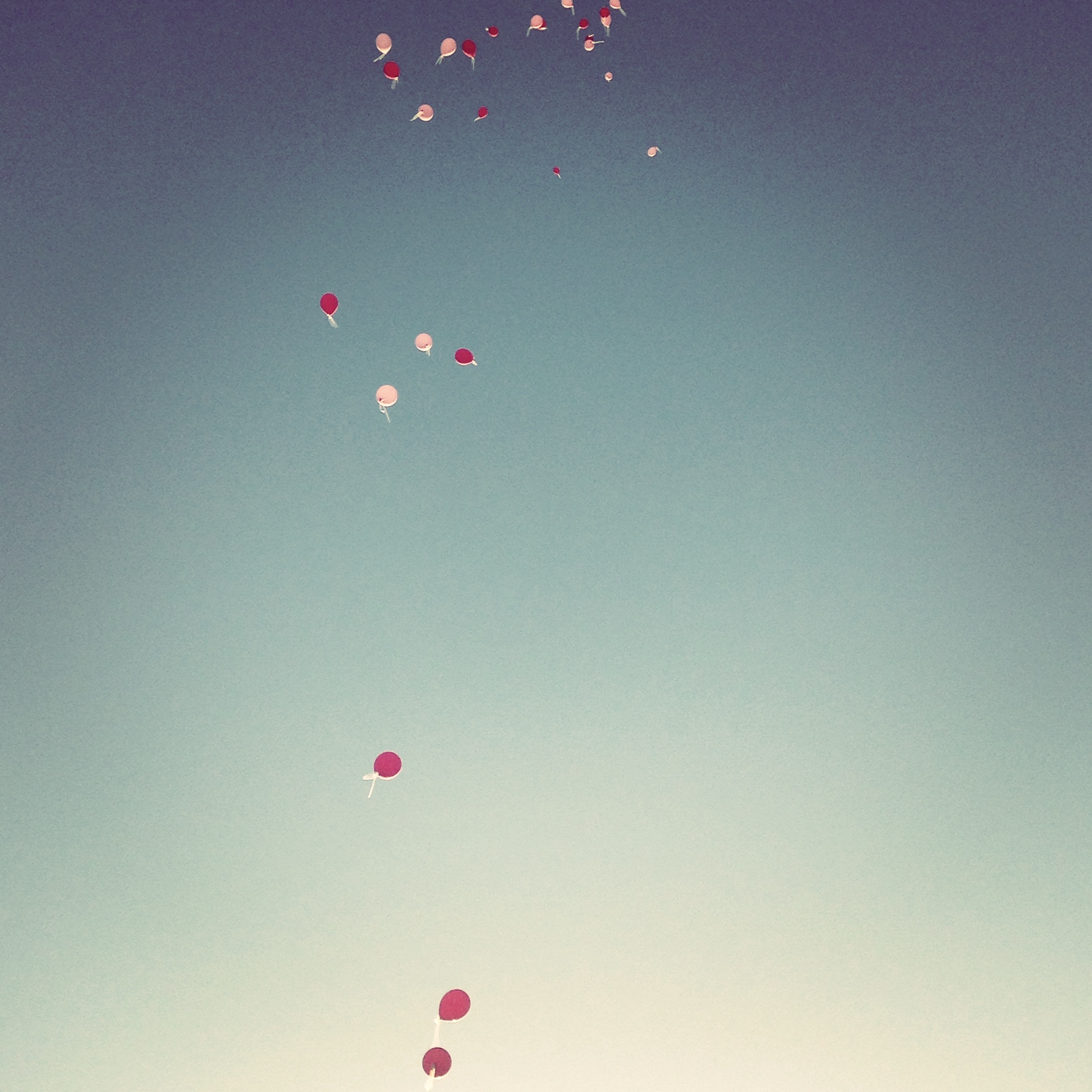 Flying, 2015. Photograph.JPG