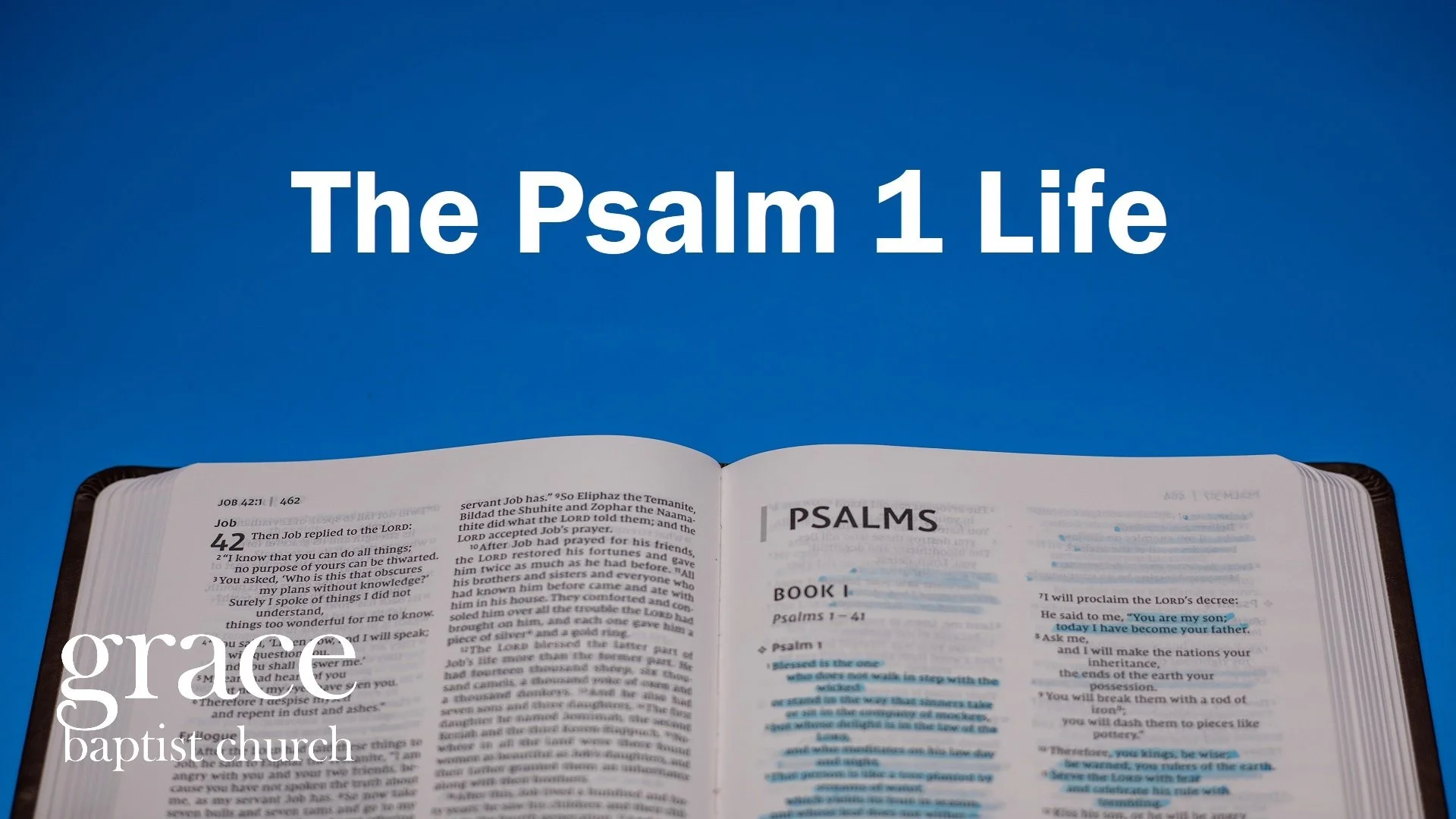 The Psalm 1 Life