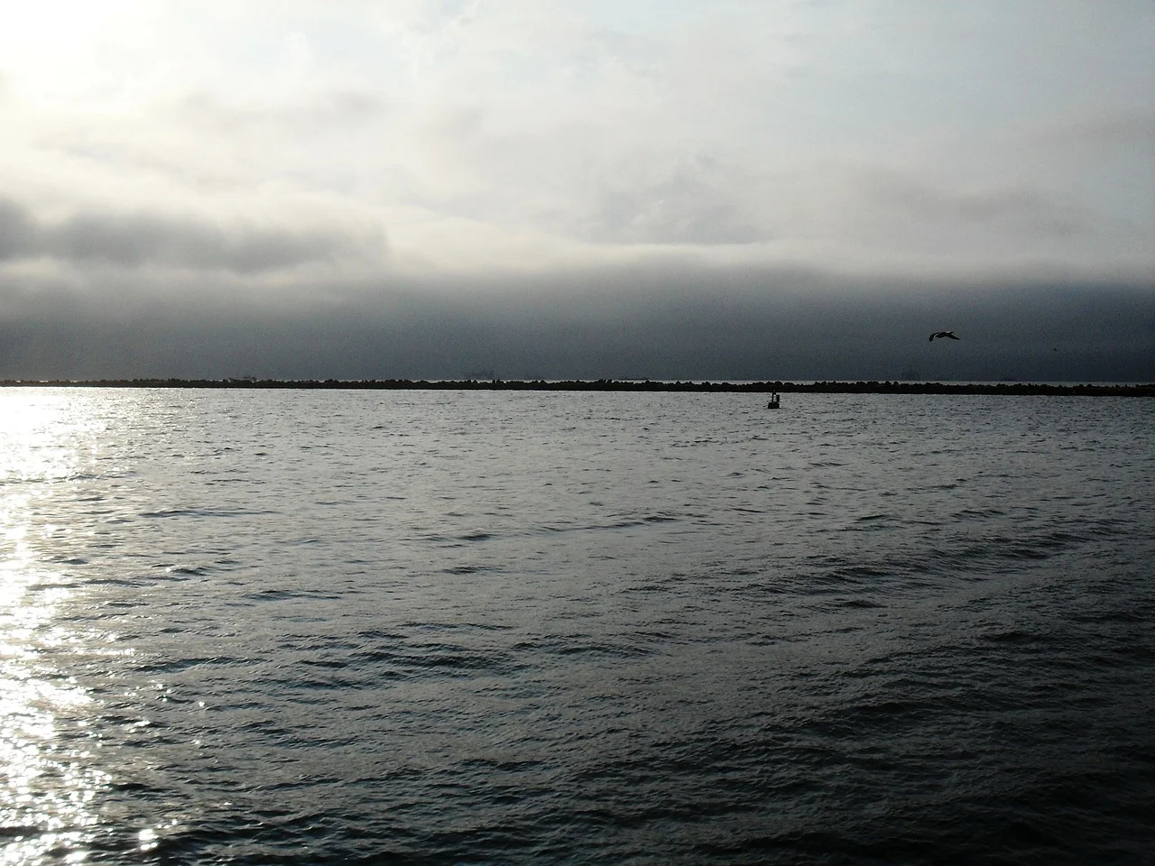 Finding clarity in a world of grey.