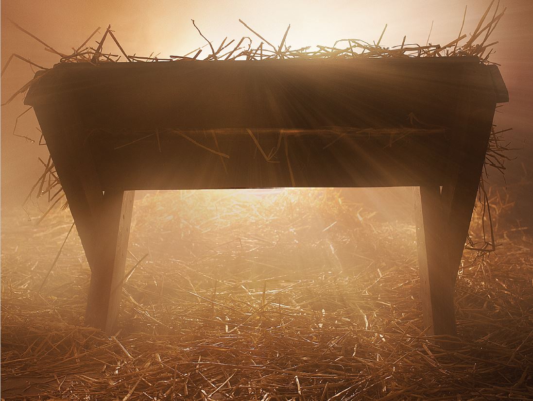 A Doctor's Christmas Preparations