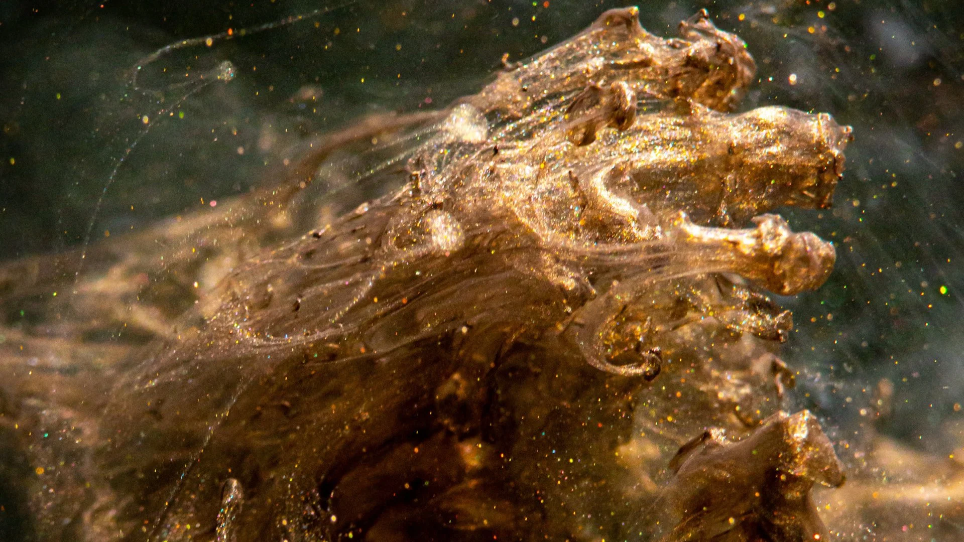 How to Interpret the Book of Revelation