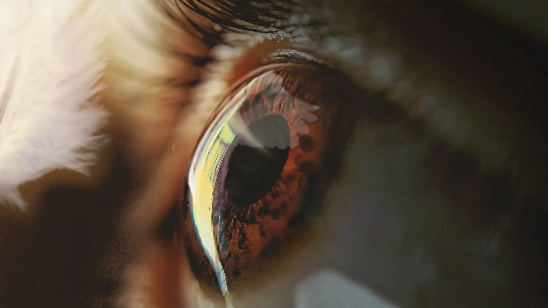 Jesus Through the Eyes of His Accusers