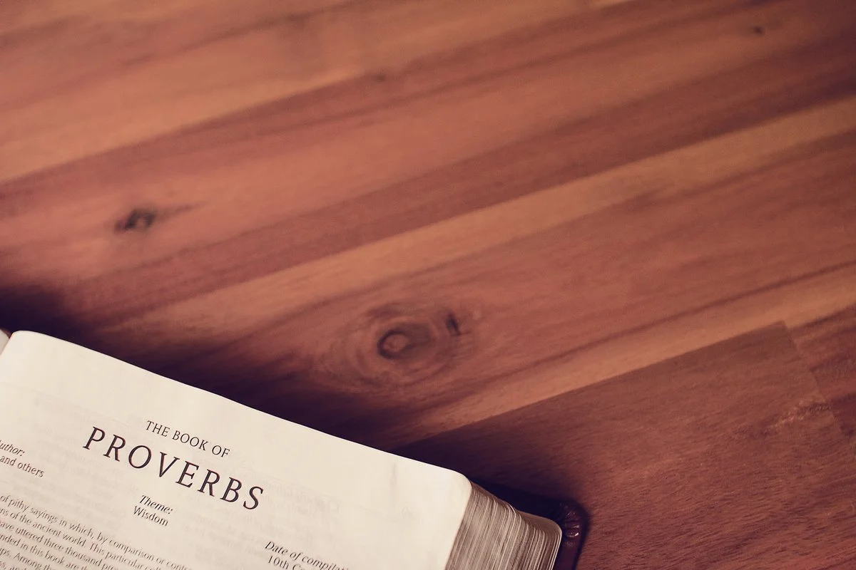 Beginner's Guide to the Wisdom of Proverbs