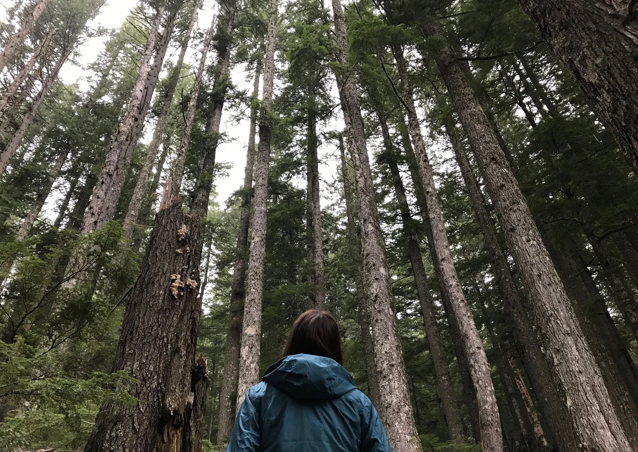Simple Ways to Cultivate Awe and Lower Your Stress