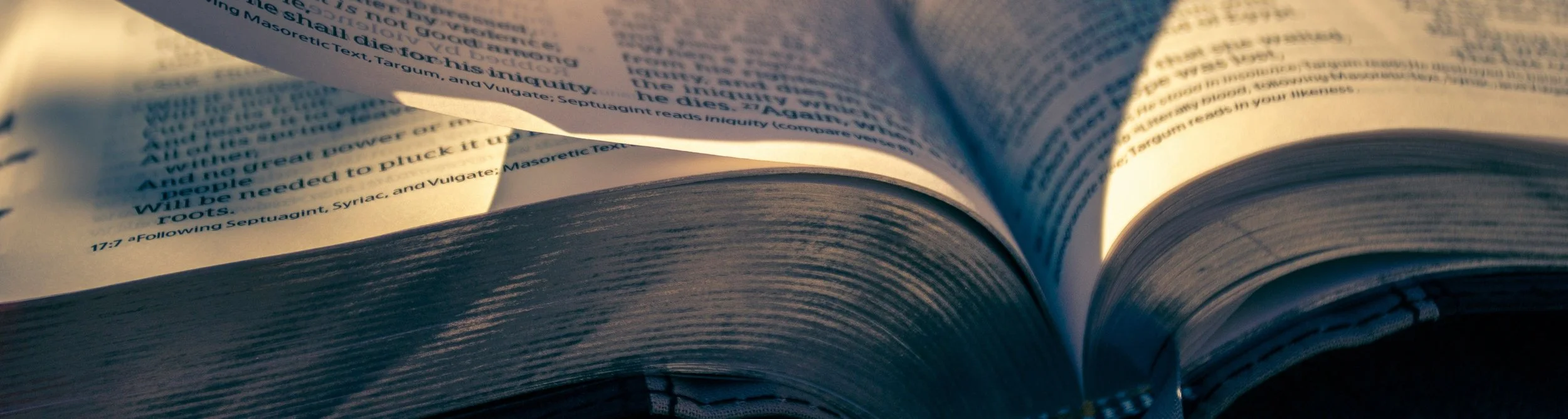 Essential Bible Guide for the E100